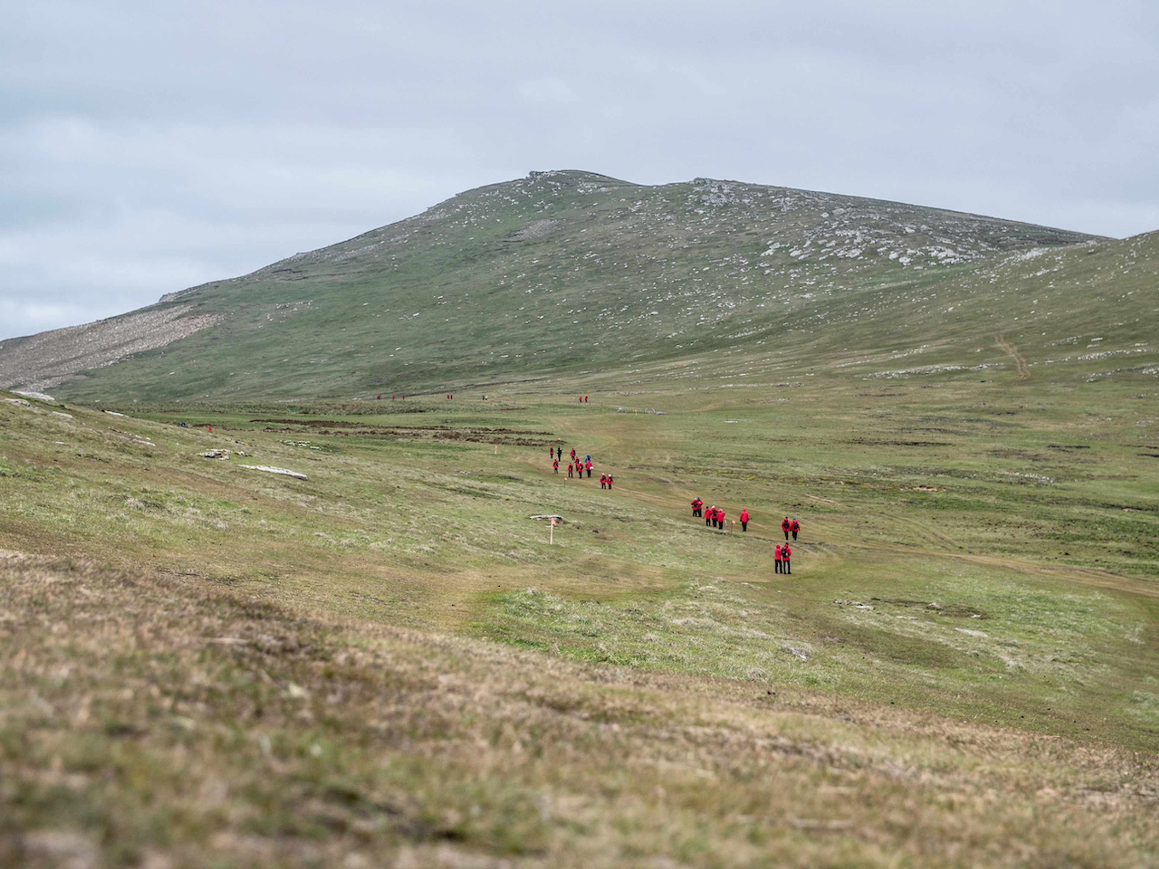 Silversea guests trek the windswept landscapes of West Point Island/Ross Vernon McDonald