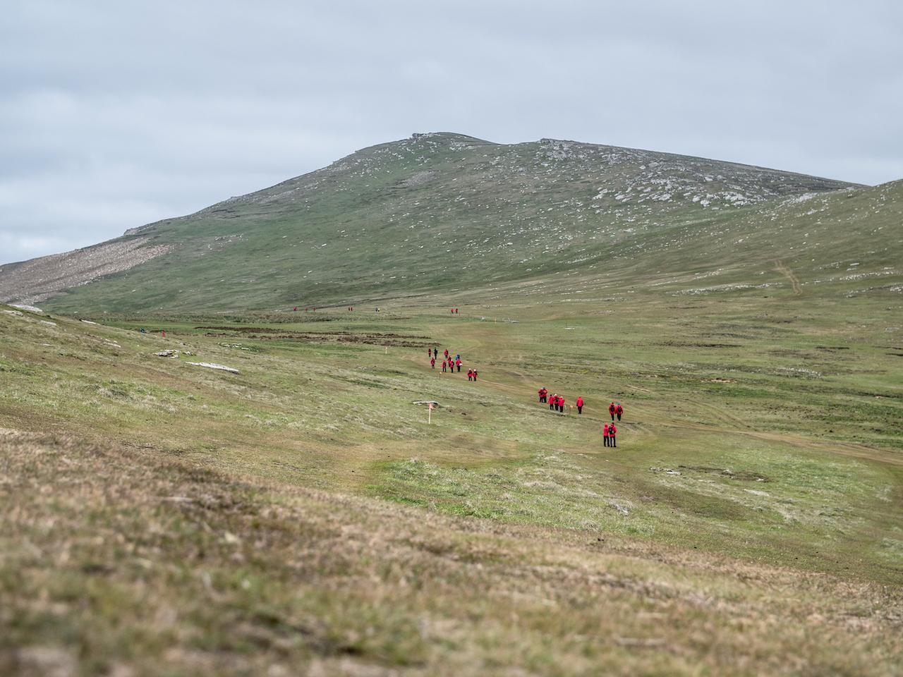 Silversea guests trek the windswept landscapes of West Point Island/Ross Vernon McDonald