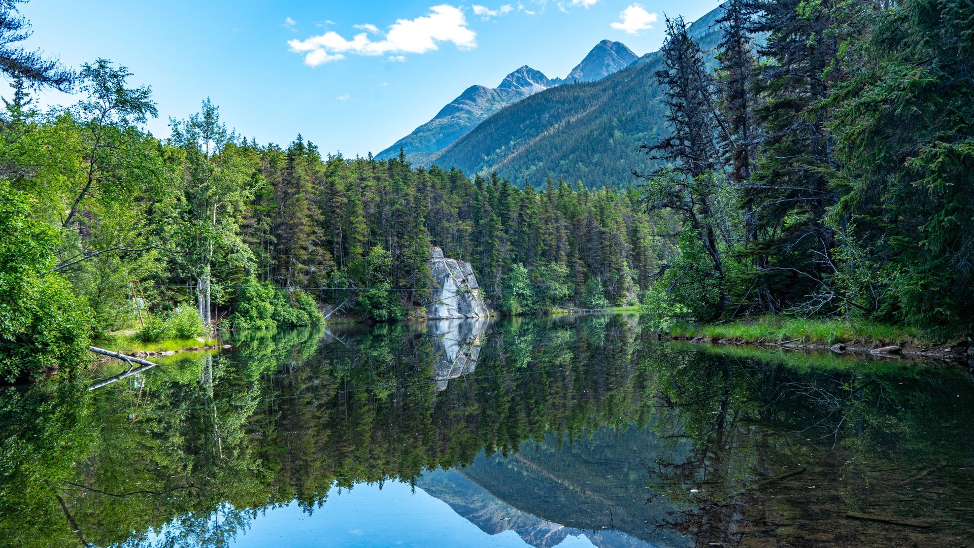 Best Time to Visit Alaska: Cruises, Wildlife & Northern Lights