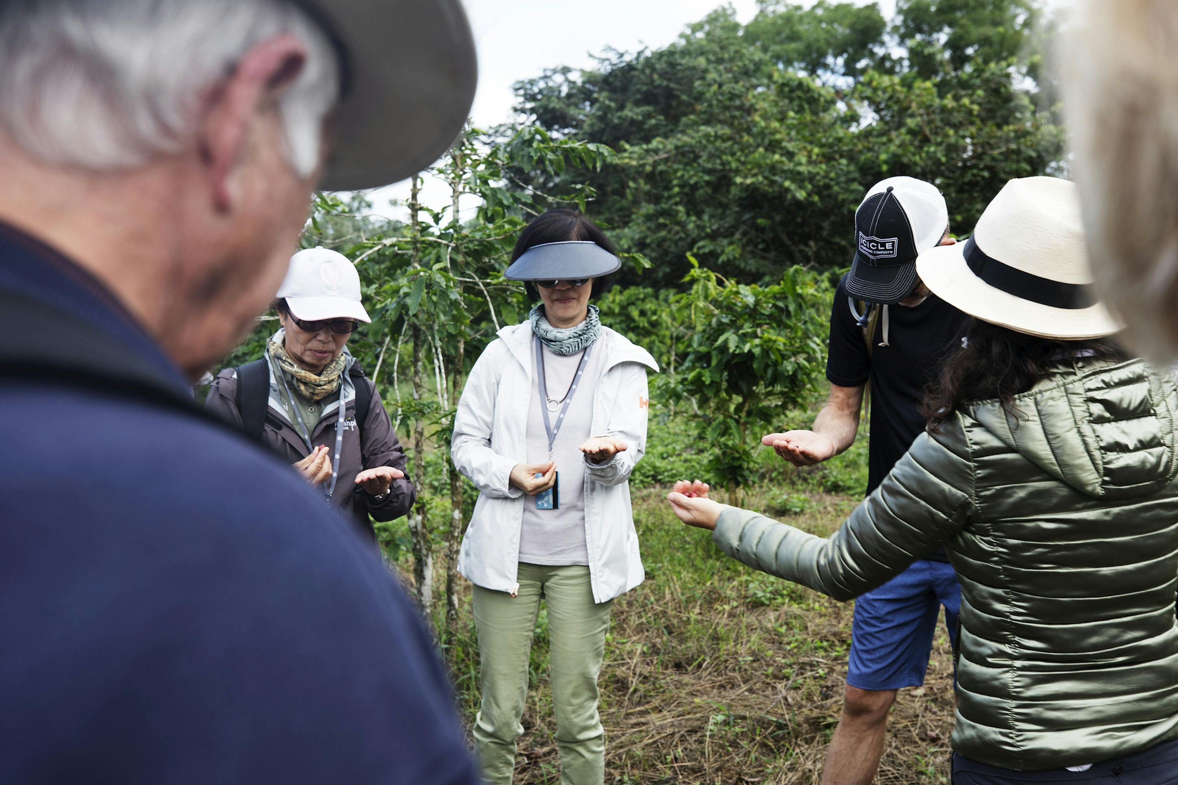 MonteMar is a 43-acre coffee farm in Santa Cruz, the second largest of the Galapagos Islands./Lucia Griggi
