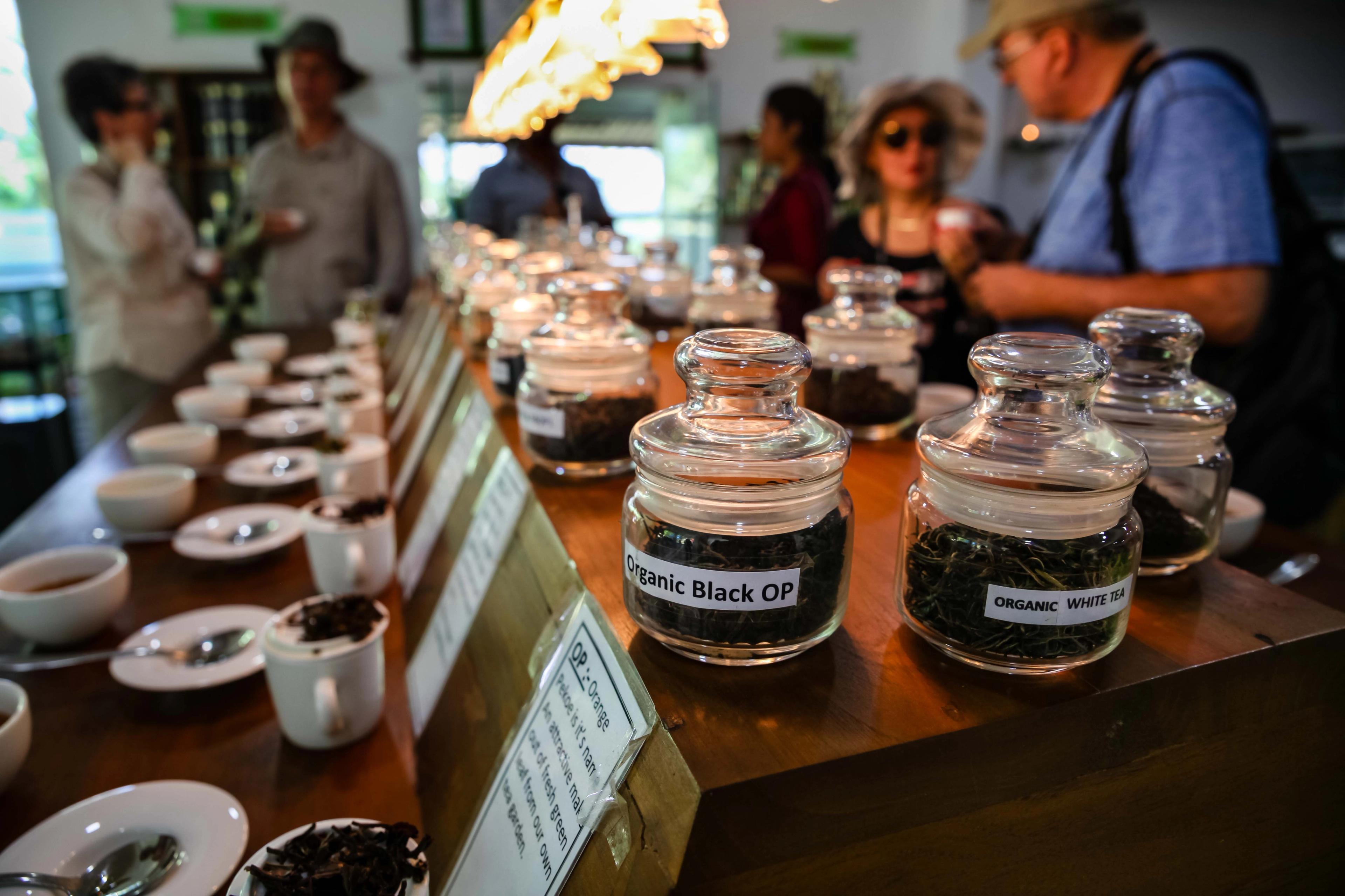 Tea tasting session near the small village of Akuressa in southern Sri Lanka./David Jaffe