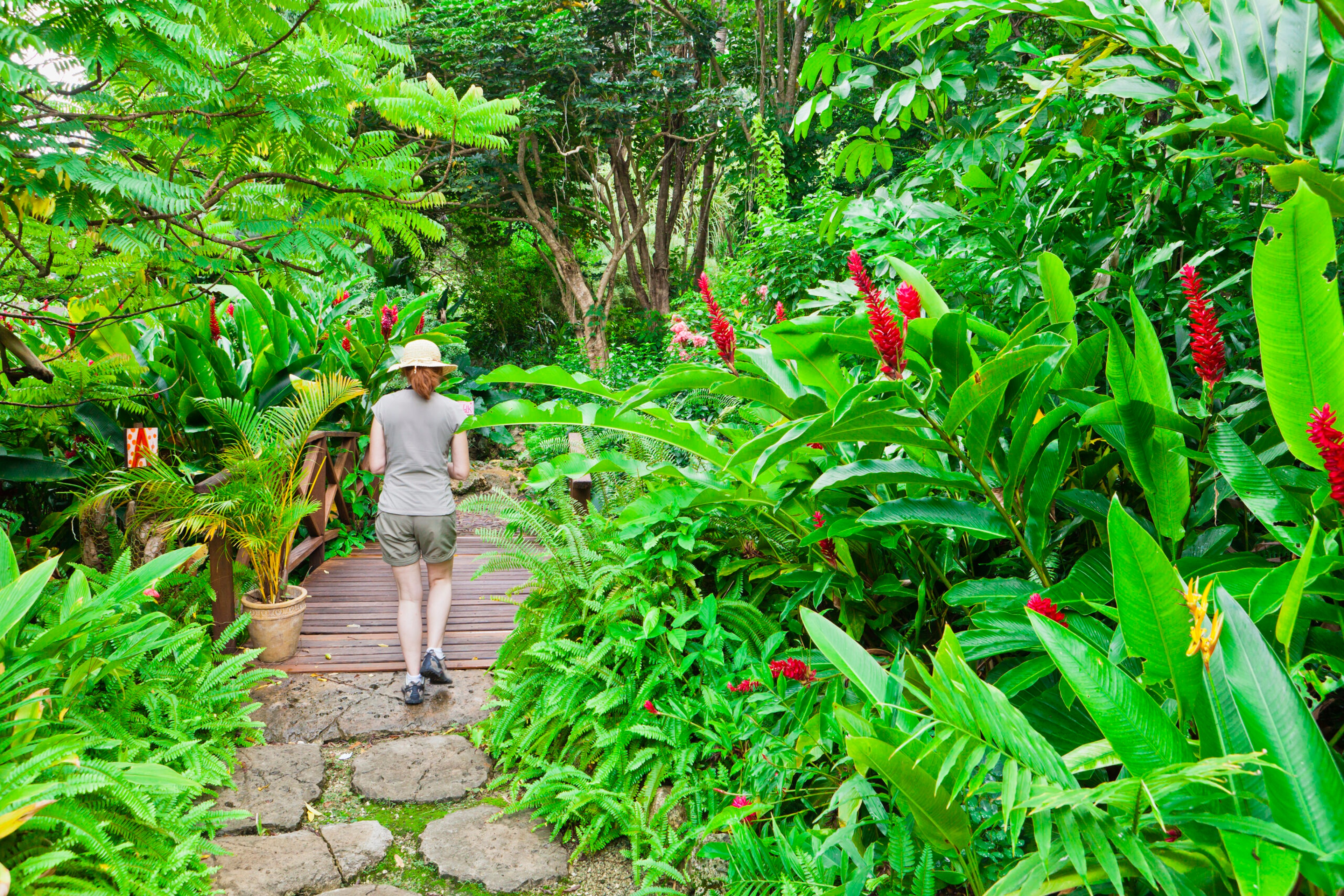 Two self-guided paths lead you through the flora and fauna of the Andromeda Gardens in Barbados./Getty Images
