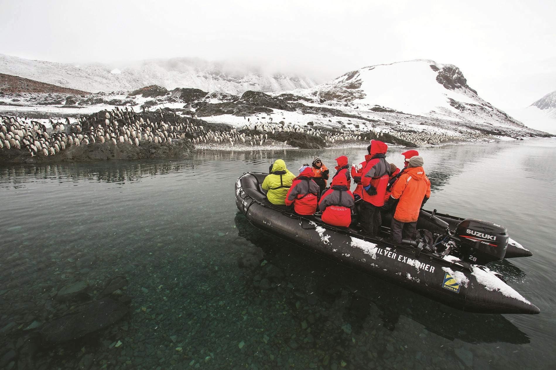 Why Touring by Zodiac in Antarctica Transforms Your Experience