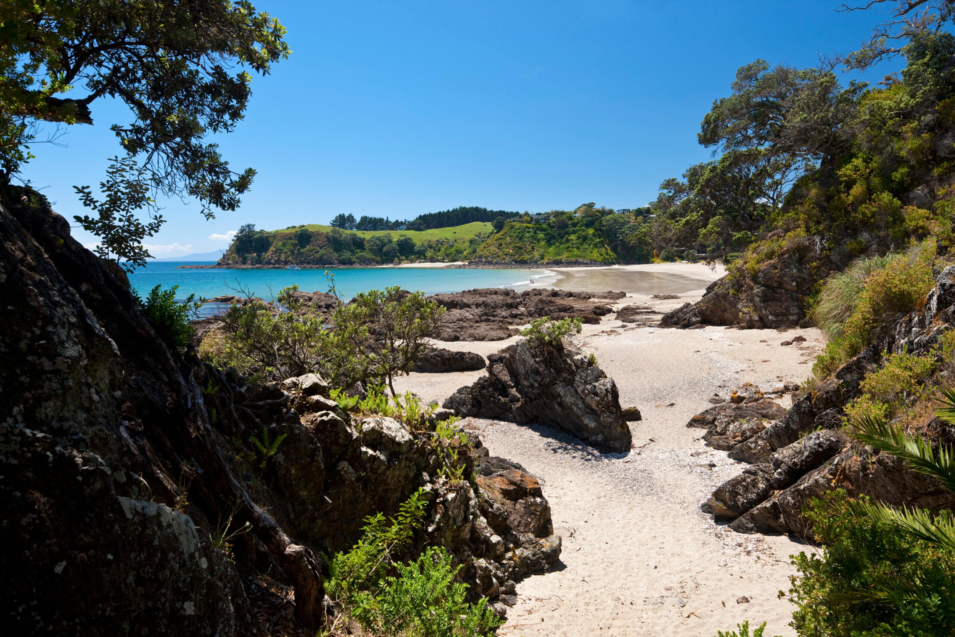 Picturesque Palm Bay Beach is a sun drenched, sheltered spot with white sand and calm waters on Waiheke Island, New Zealand./Getty Images