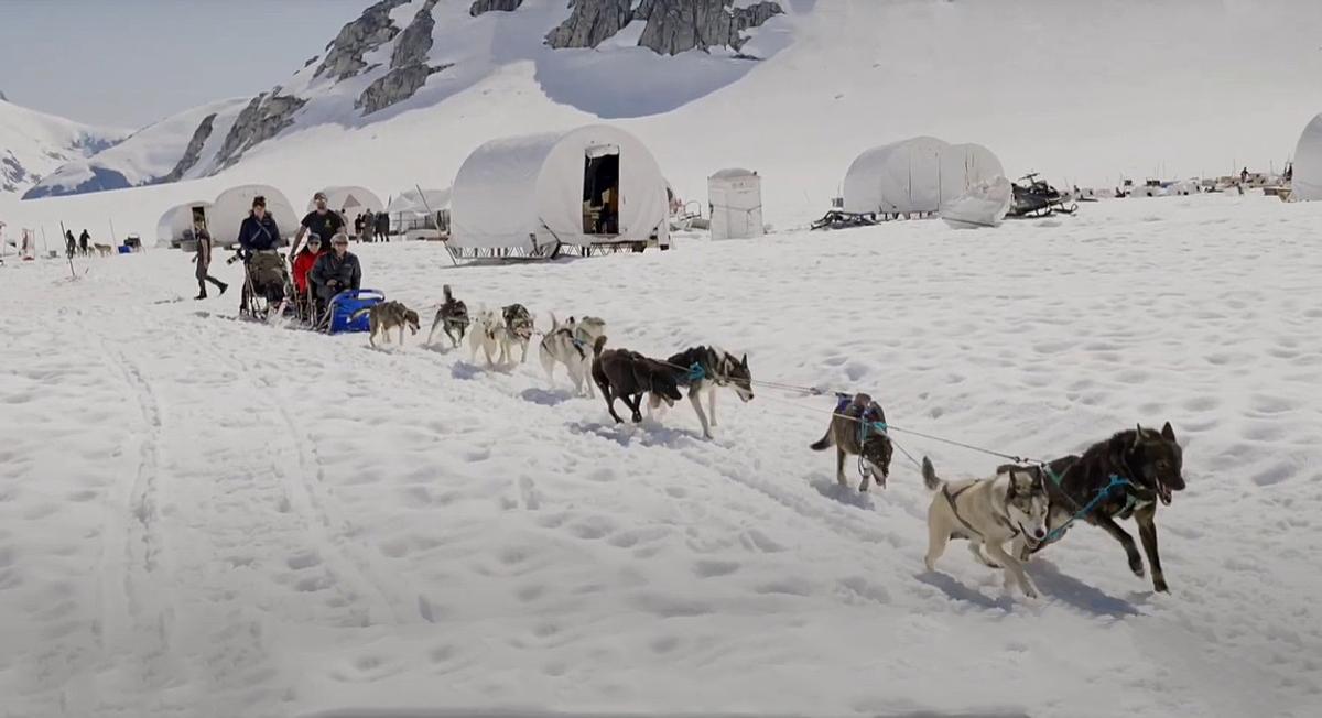 Mendenhall Glacier: When Minds Turn to Mush, Explore With Huskies 
