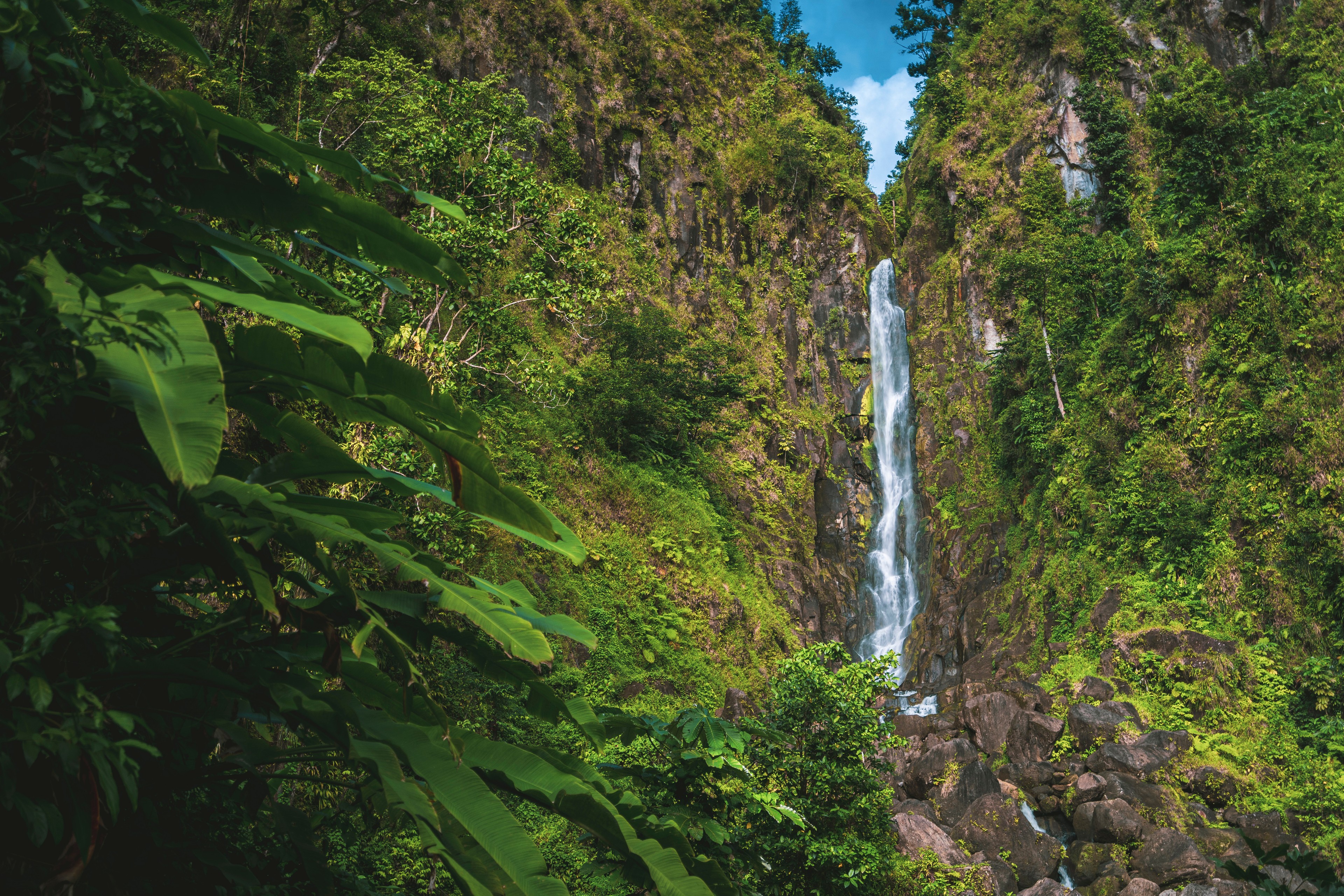 In Dominica, a tropical waterfall in the rainforest/Shutterstock