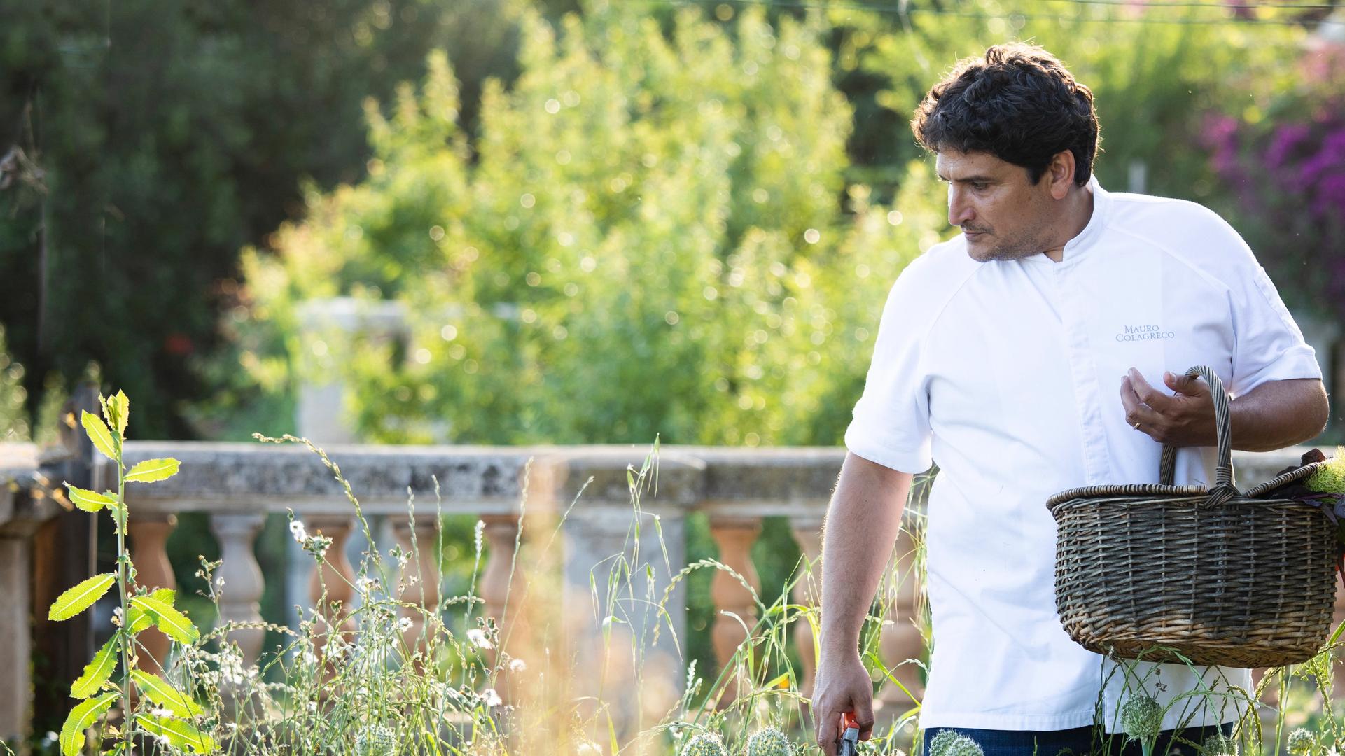 Road Test S.A.L.T. Experiences: Foraging Flavors in the French Riviera