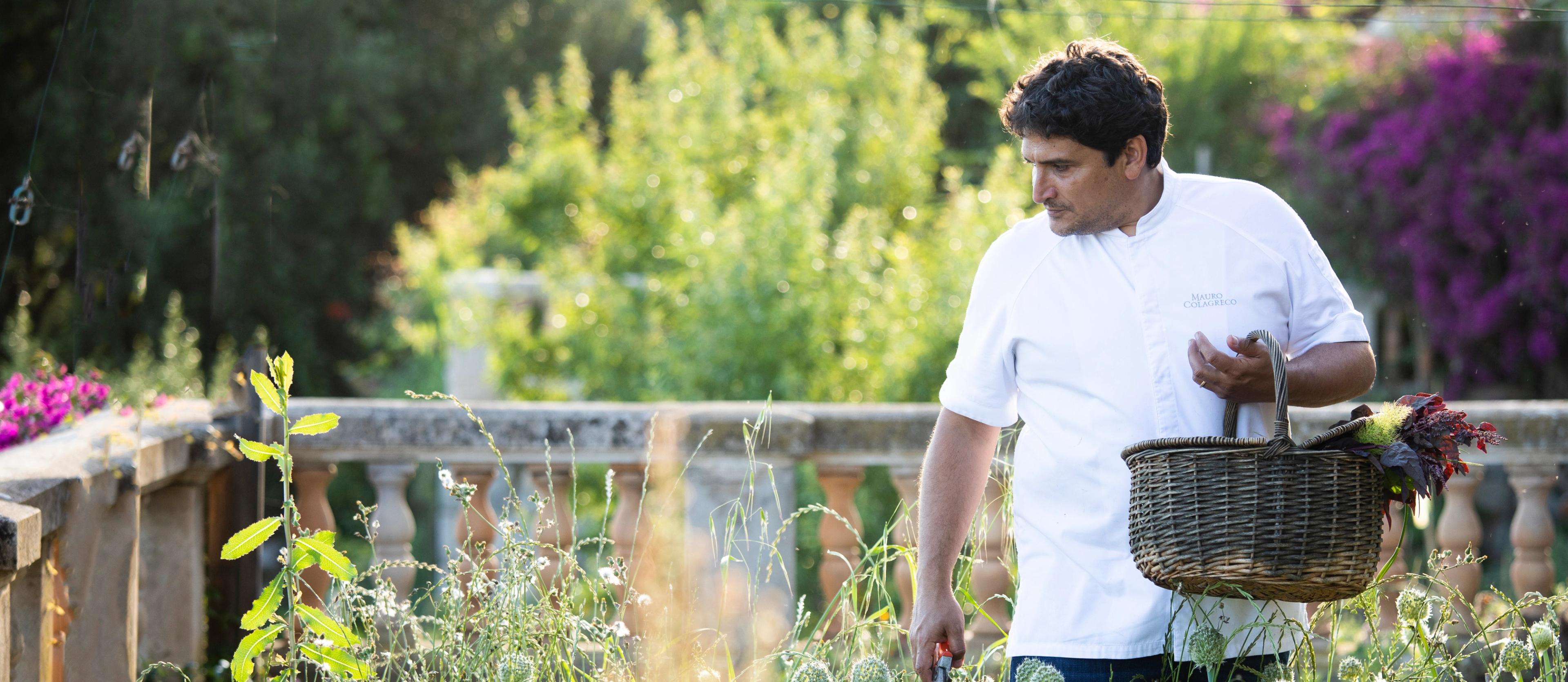 Road Test S.A.L.T. Experiences: Foraging Flavors in the French Riviera