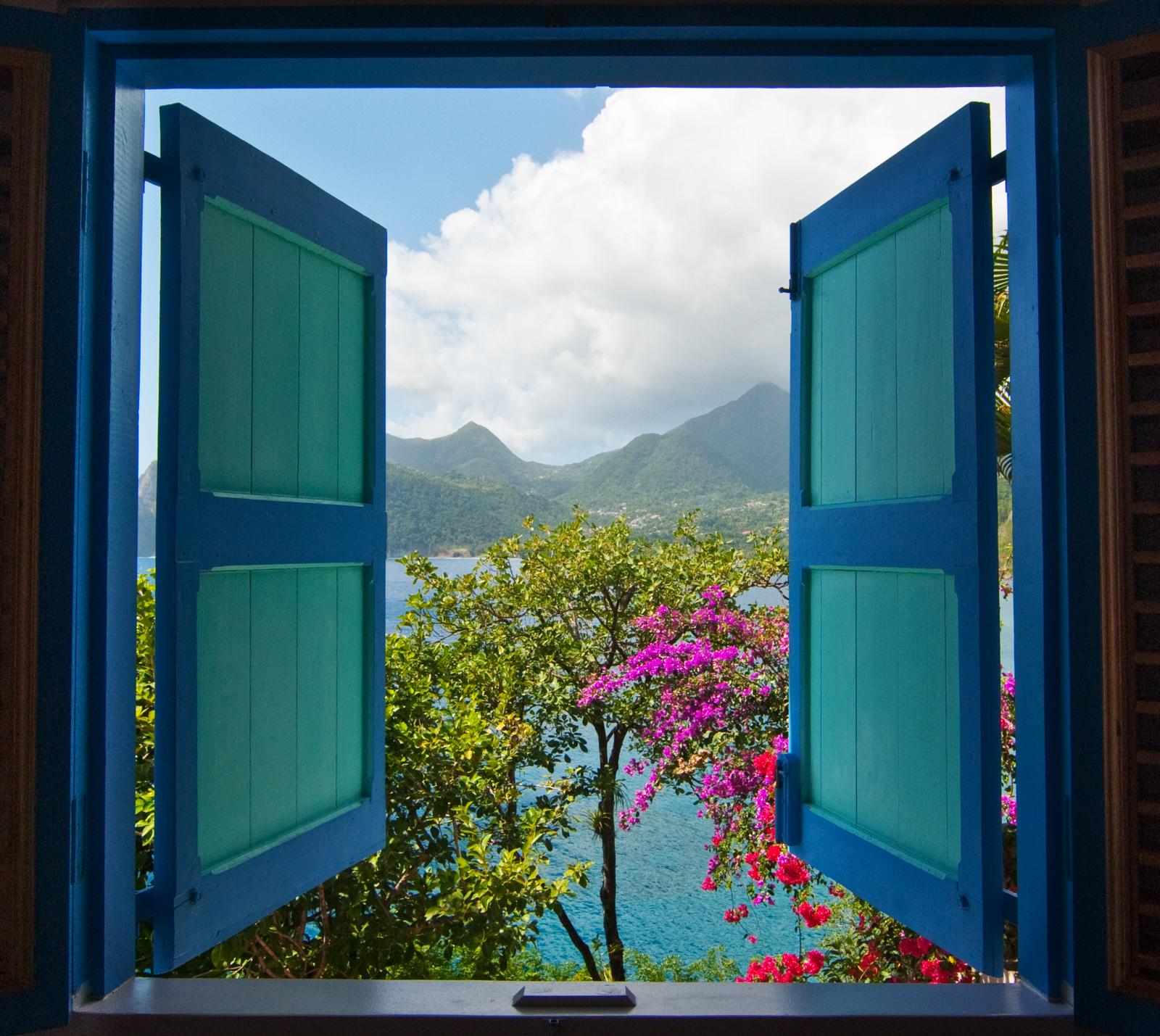Nature reigns supreme on the island of Dominica./David Swanson