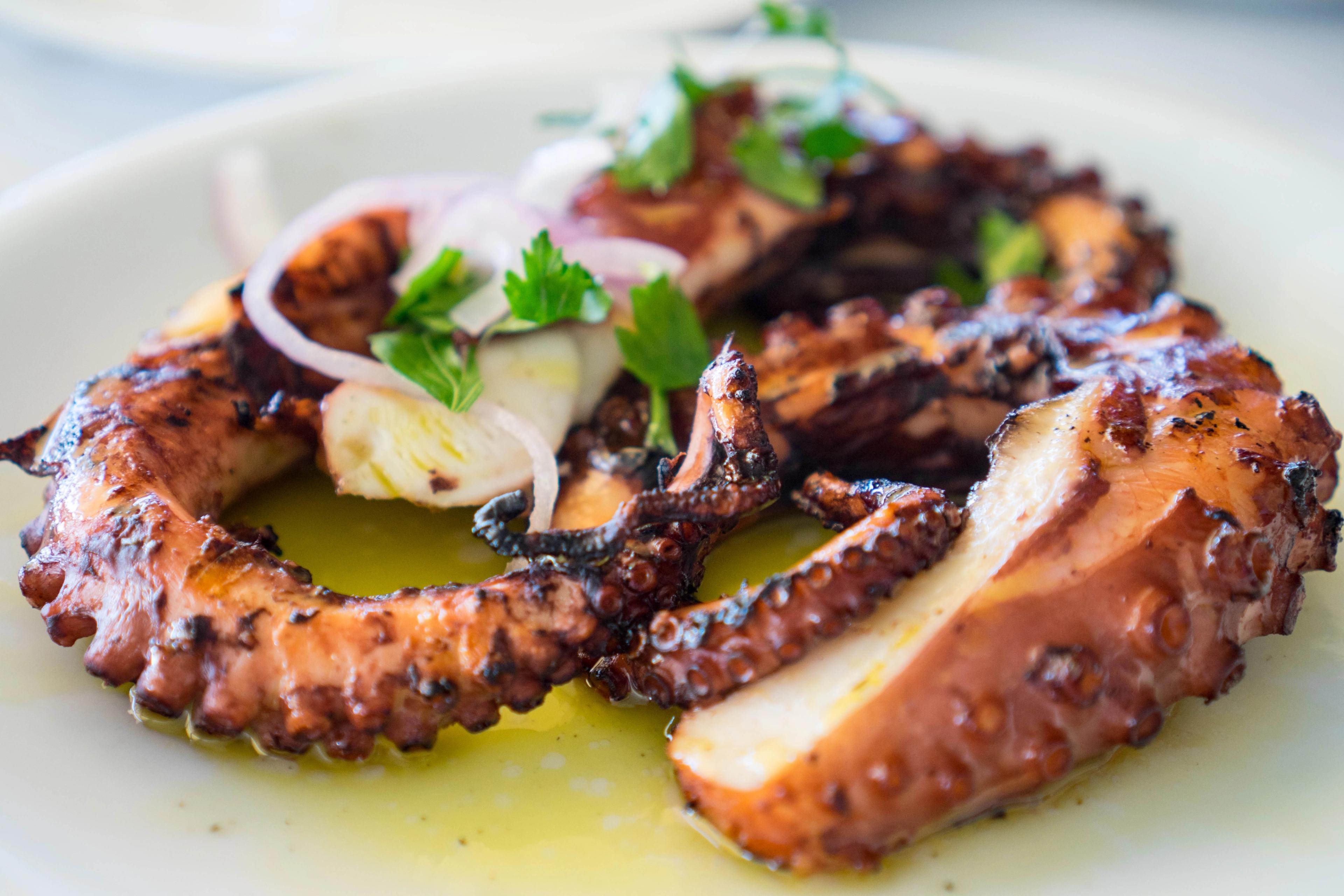 An octopus dish at Riviera