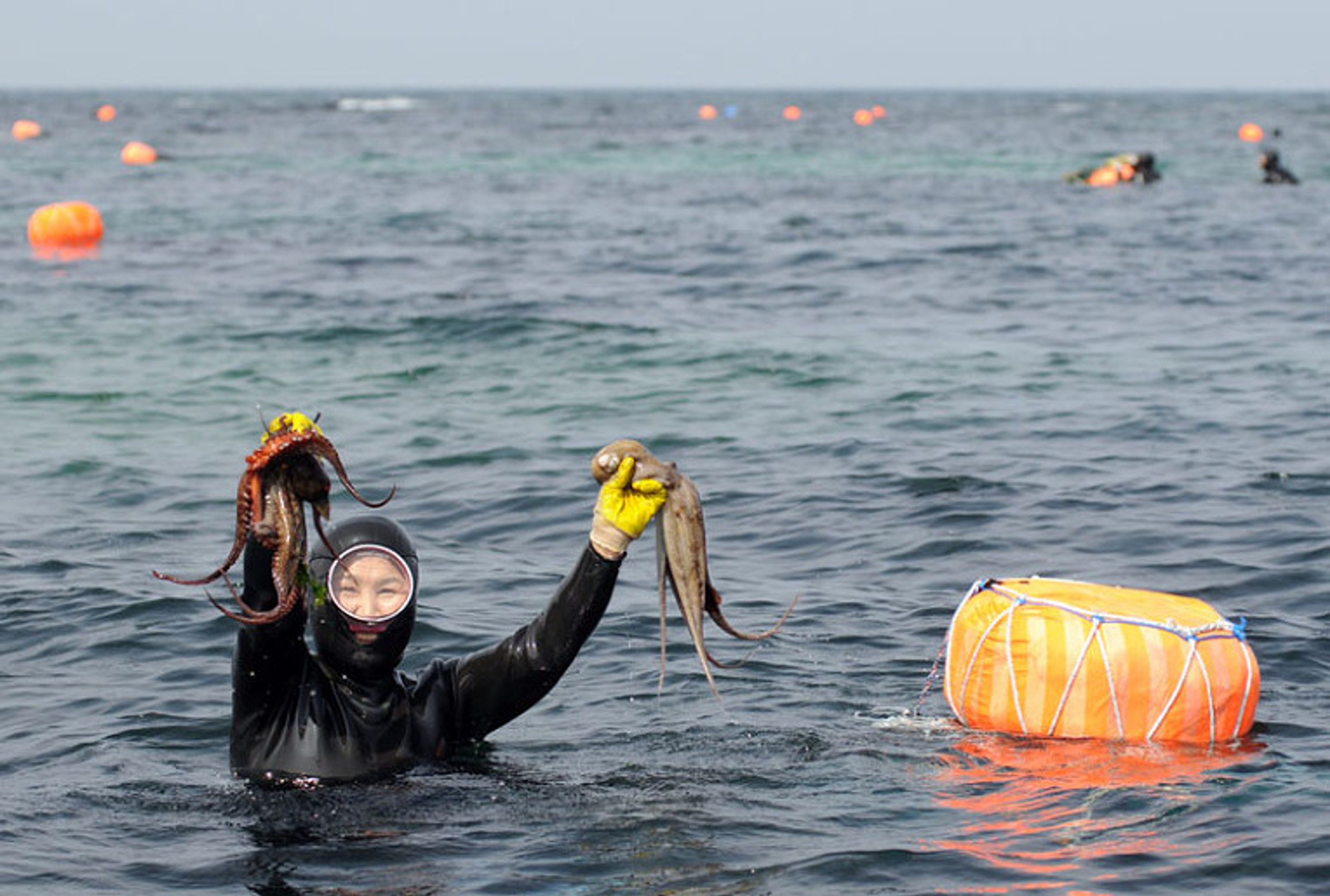 Fresh from the sea: Diver prepares to add to her catch in Jeju's waters./Wikimedia Commons