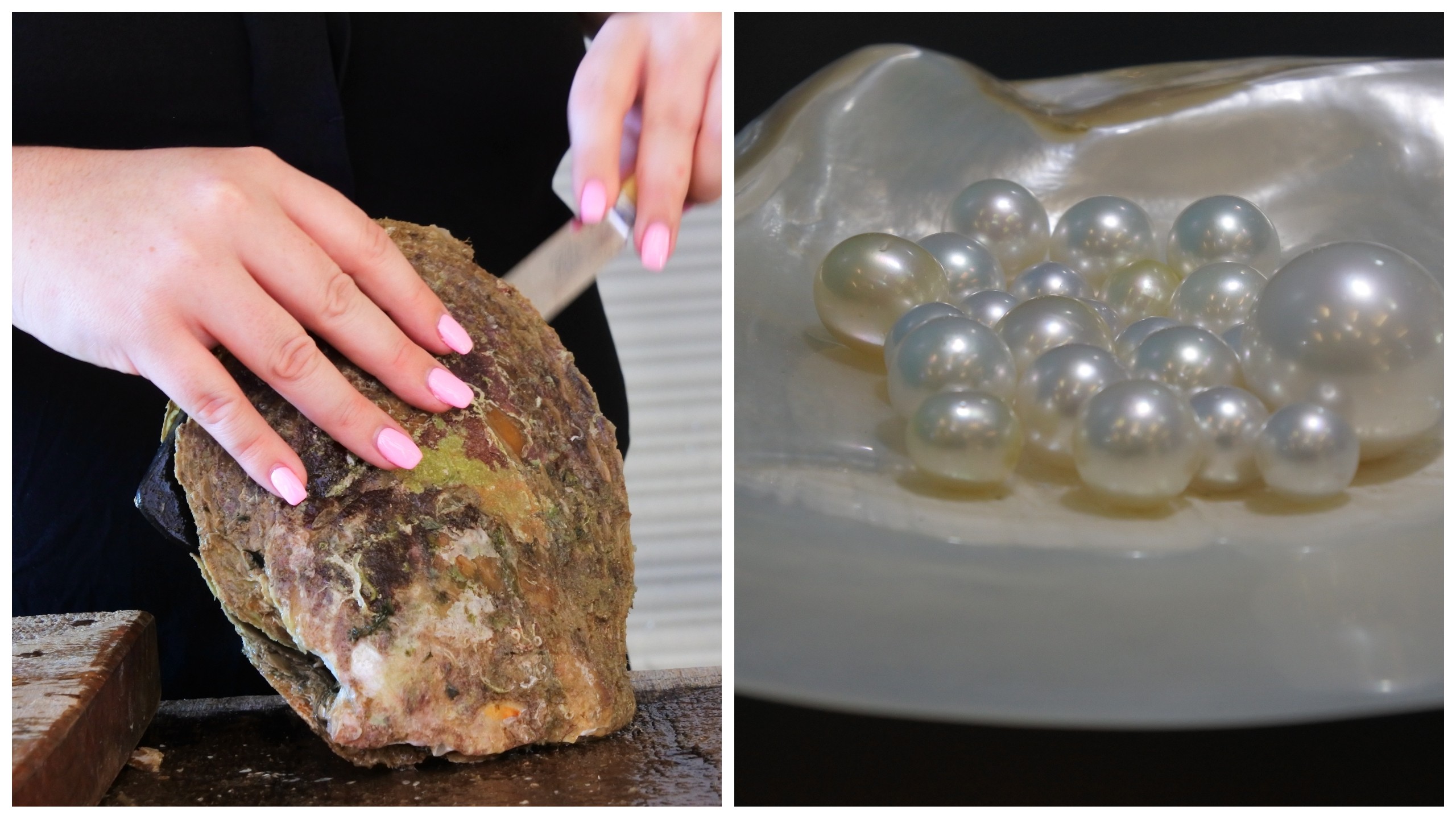 An Australian Pinctada Maxima may reveal a trove of pearls. Broome is known for the special gem./Shutterstock