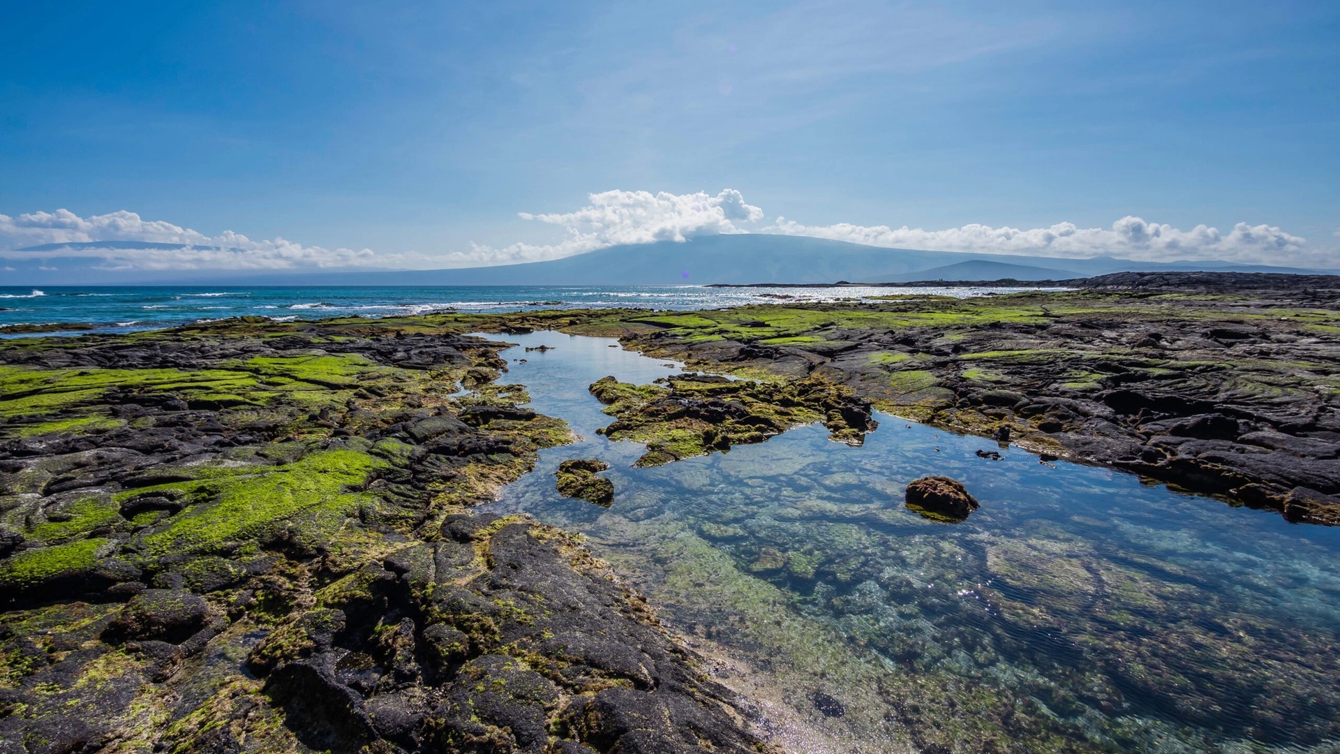 In the Galápagos, Silversea Leads an Environmental Conservation Initiative
