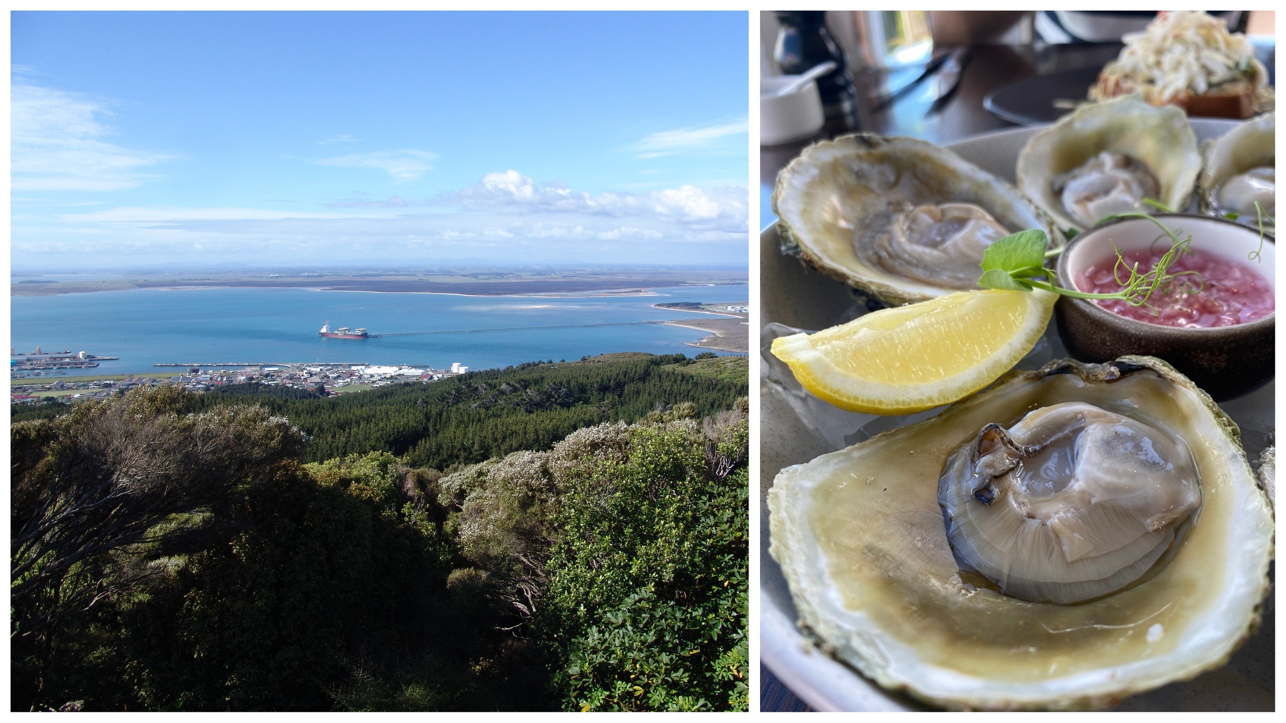 If you're lucky, maybe friends will introduce you to Bluff oysters (right) in Bluff, New Zealand, which have a distinctive flavor./Shutterstock