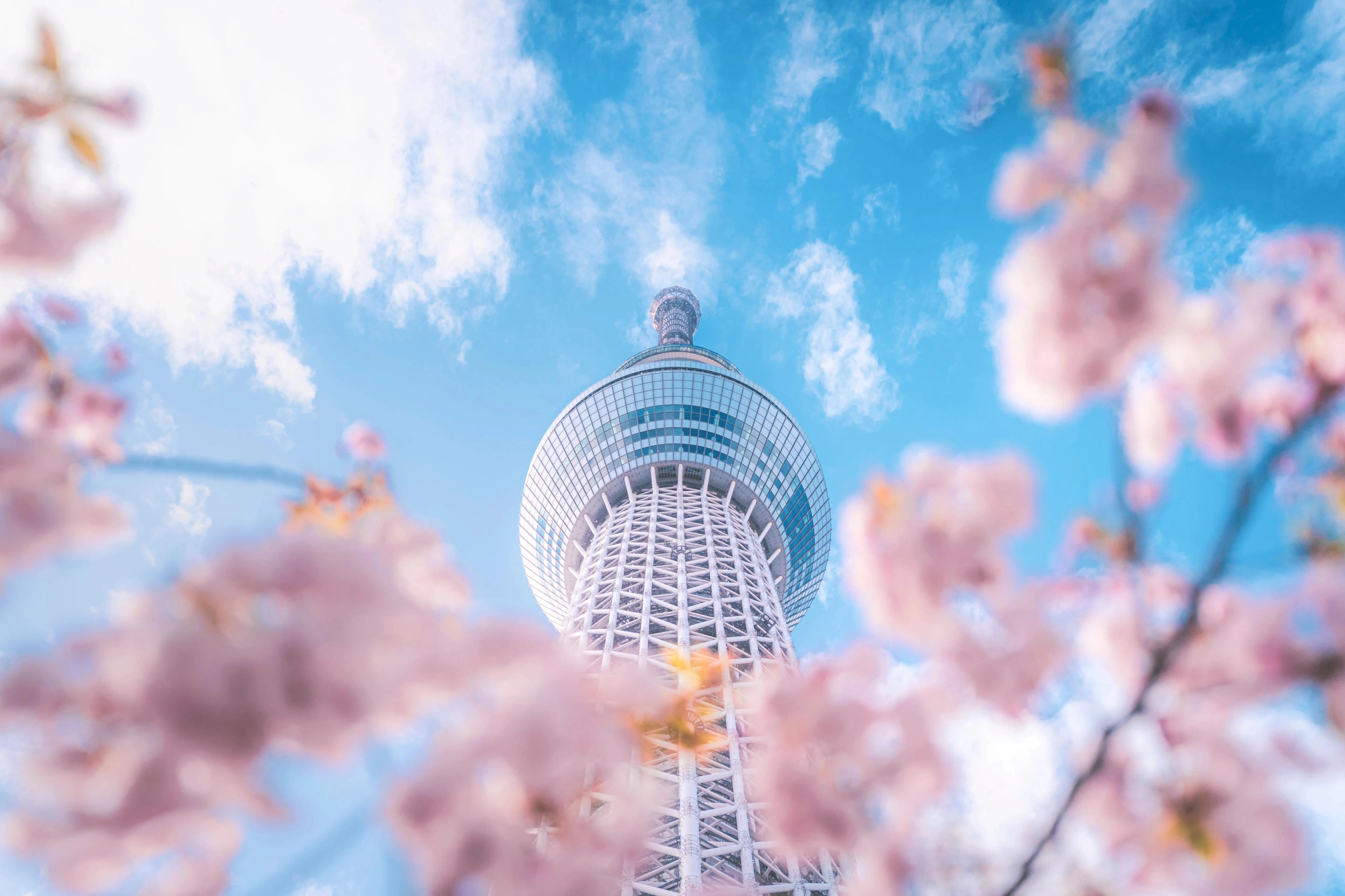 Tokyo Skytree, located in the Sumida District of Tokyo, Japan.