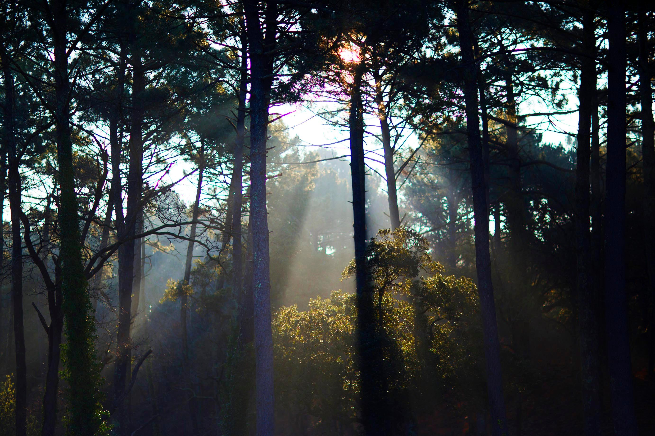 The natural beauty of the Mediterranean is one of the many draws of this enchanting region./Silversea photo