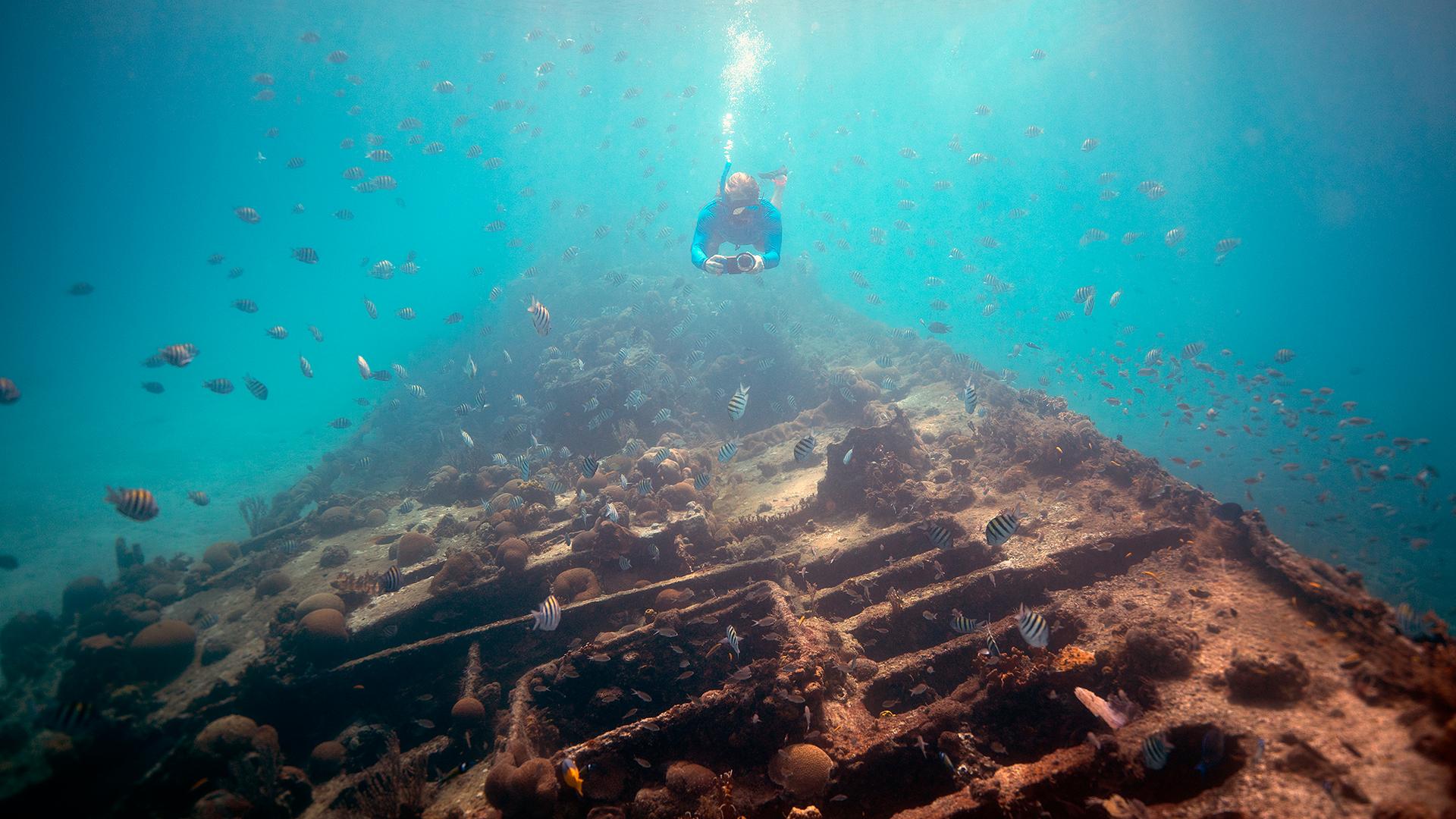 The Beauty of Bathsheba: Discovering the Charms of Barbados