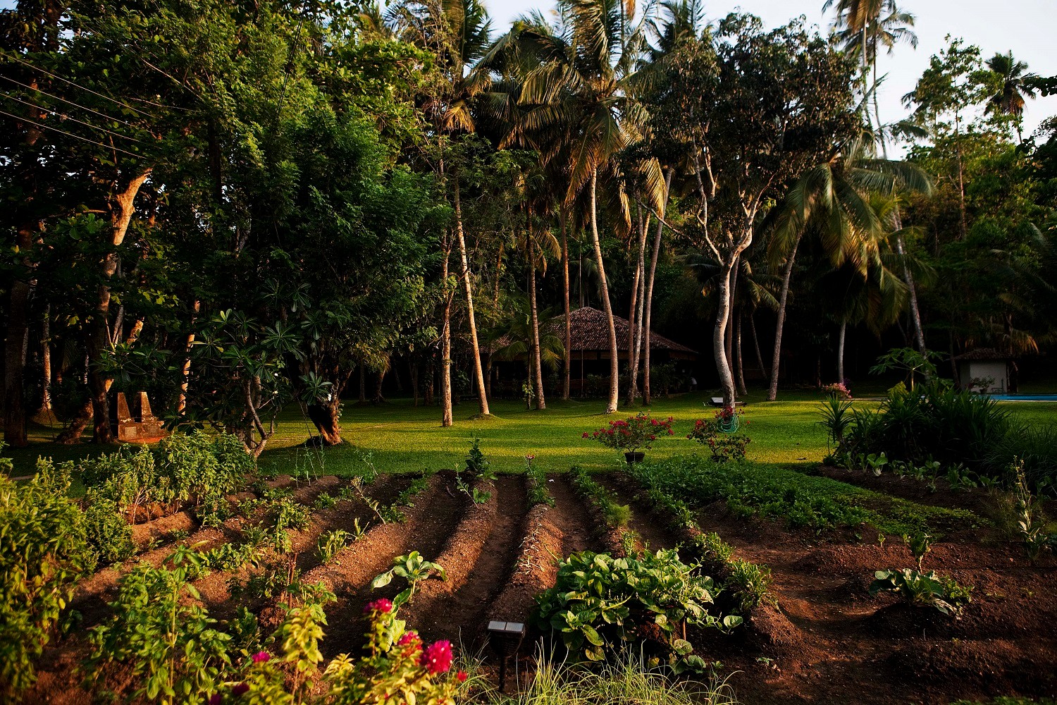 Ayurveda is practiced in a tranquil setting./Lucia Griggi