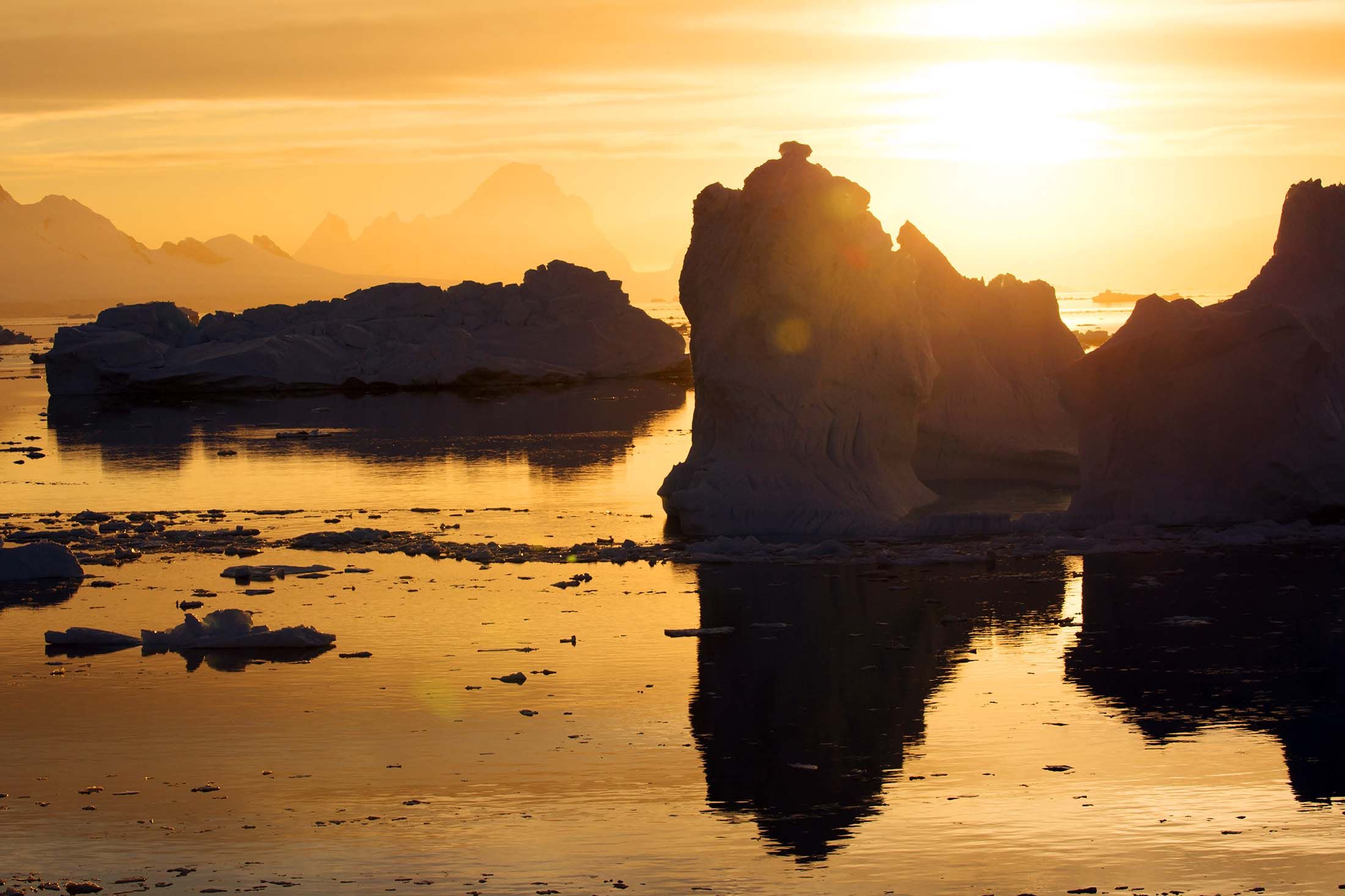 5 Reasons Why Antarctica is a Great Destination for Discerning Travelers