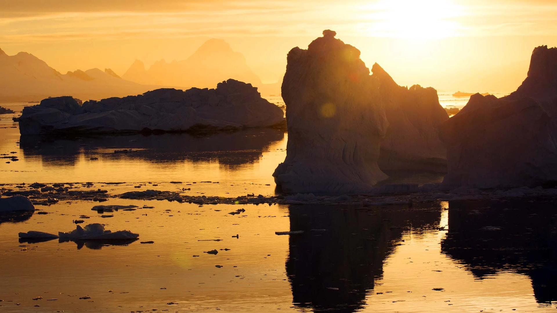 5 Reasons Why Antarctica is a Great Destination for Discerning Travelers