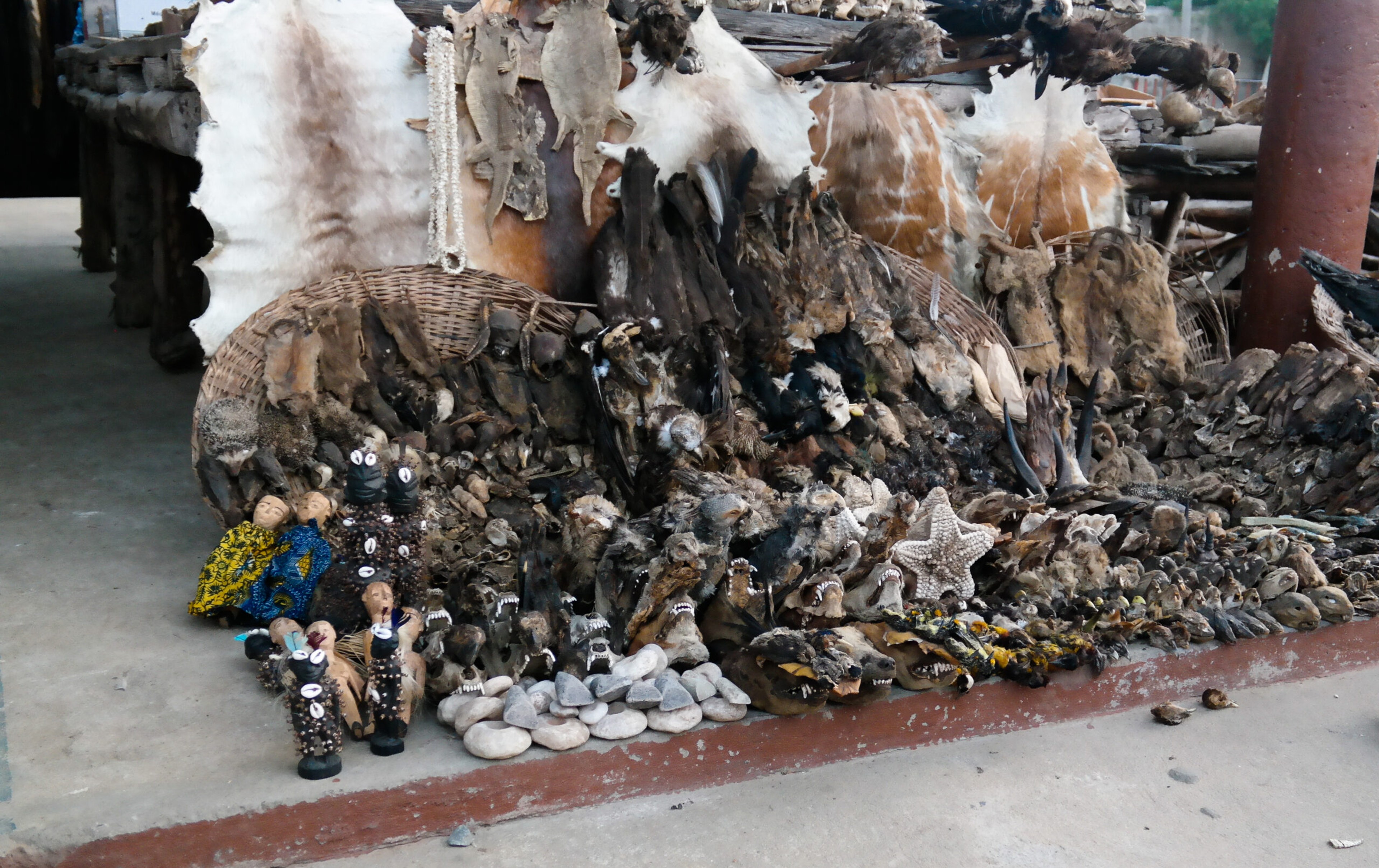 About quarter of the population Benin practices Vodun, or voodoo. Here a market that specializes in objects used in the practice./Shutterstock