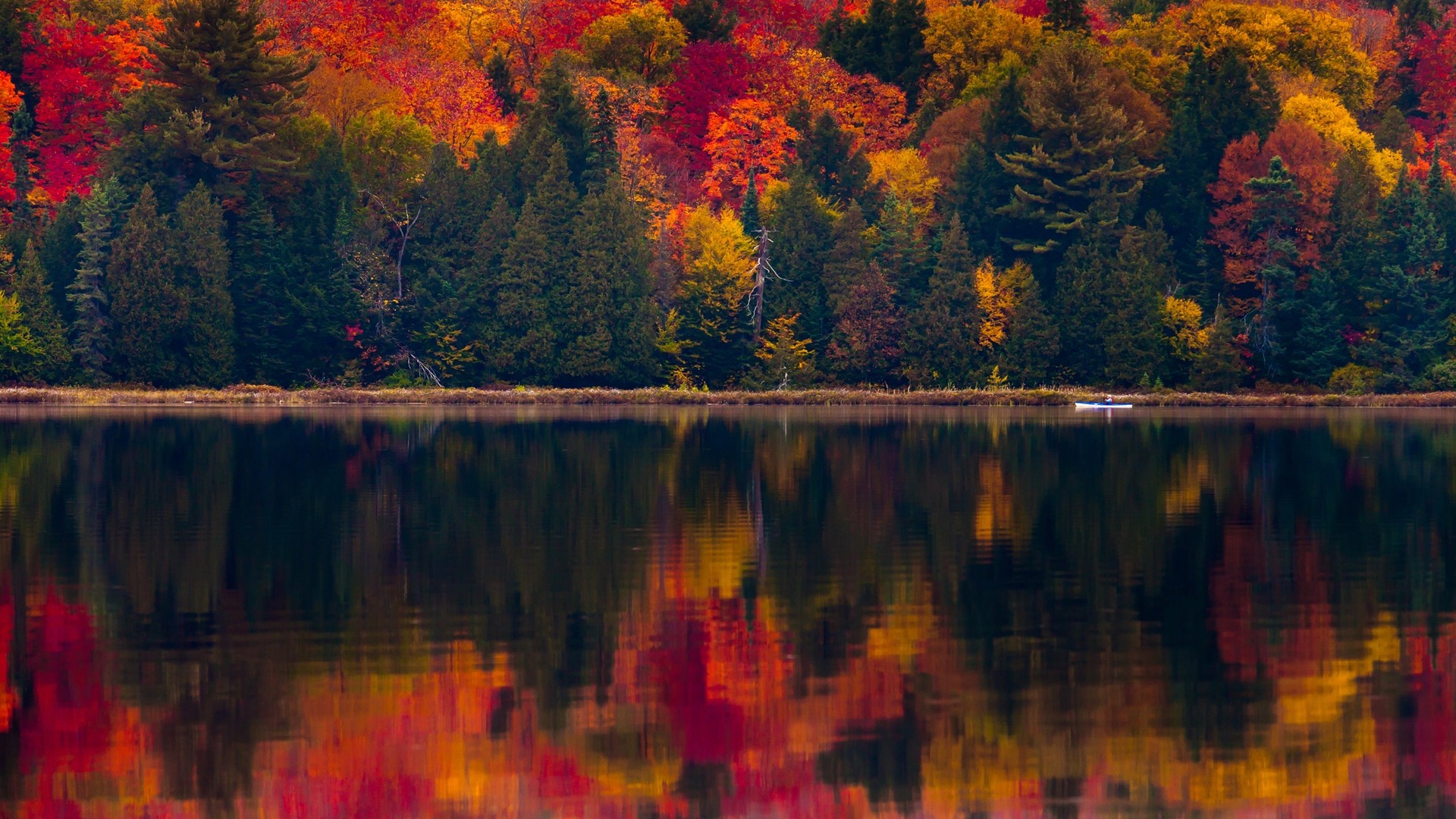 The Best Time of Year to Visit New England