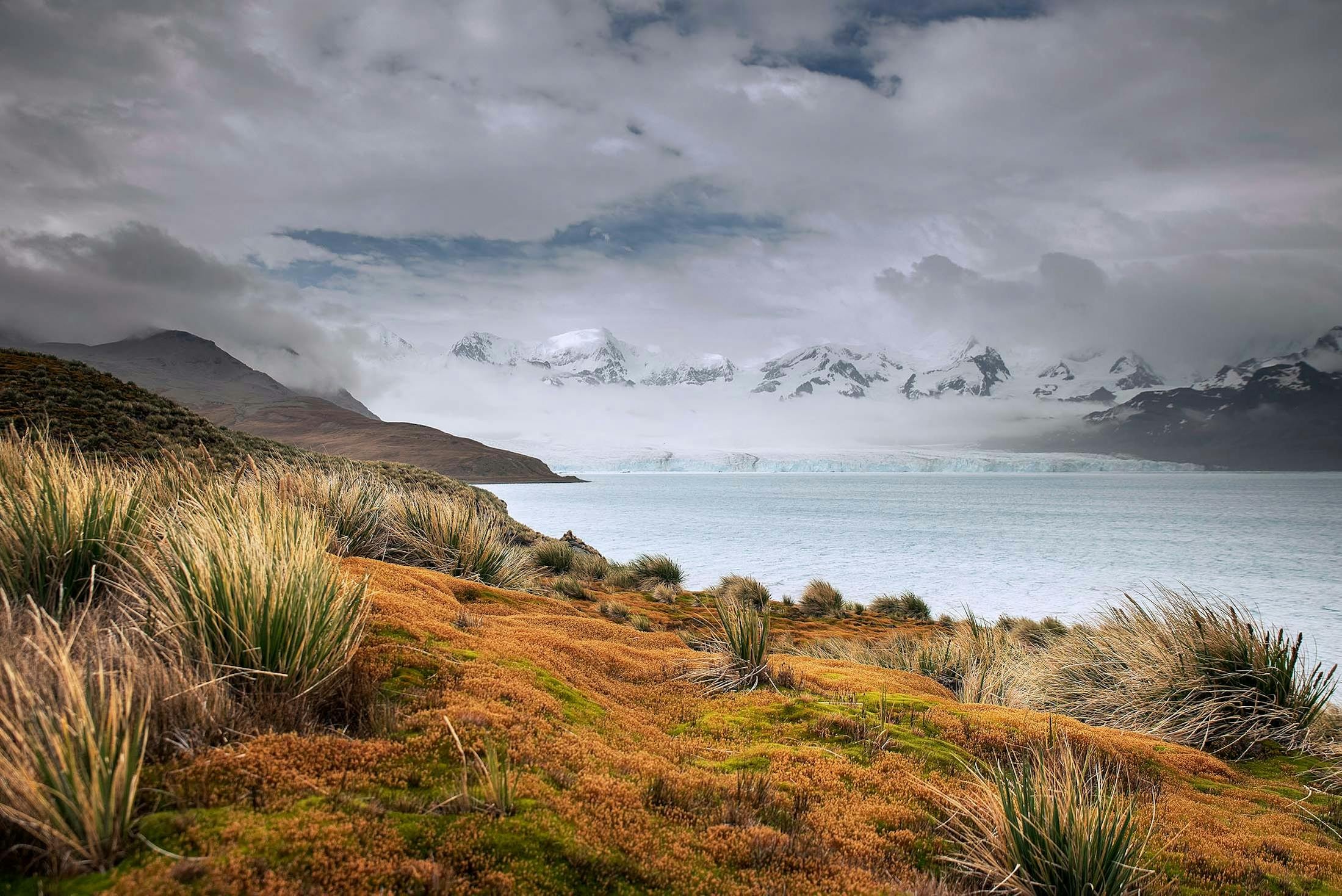 A view of Nordenskjold Glacier from near Sorling Beach, South Georgia./Denis Elterman