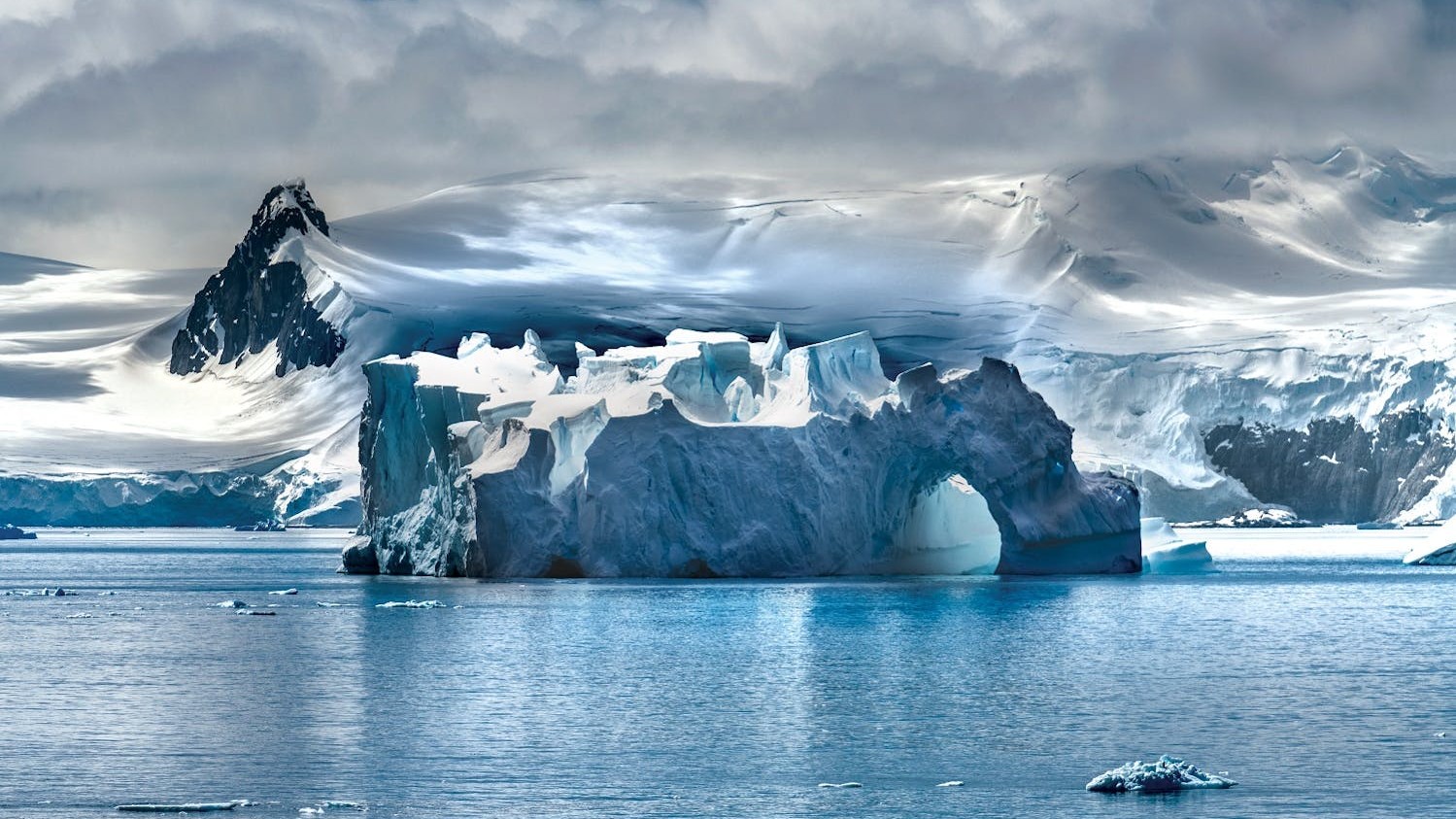 Photographer Steve McCurry: Insights from My First-Ever Trip to Antarctica