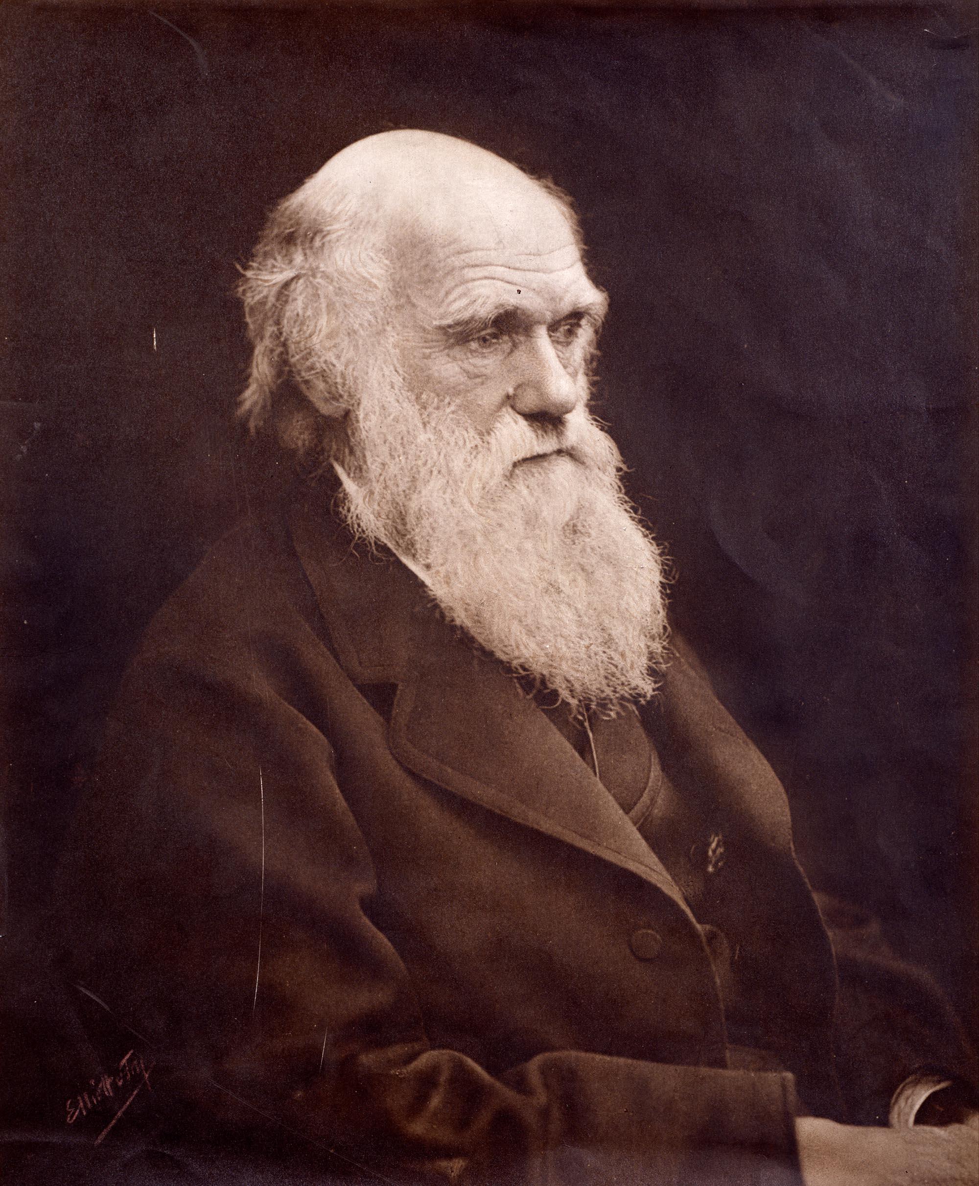 Charles Darwin/© Royal Geographical Society (with IBG)