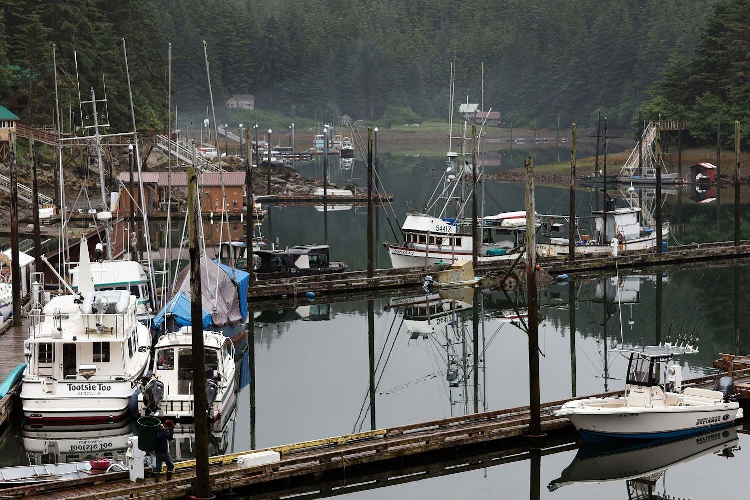 Fishing boats in Elfin Cove, Chichagof Island./Lucia Griggi