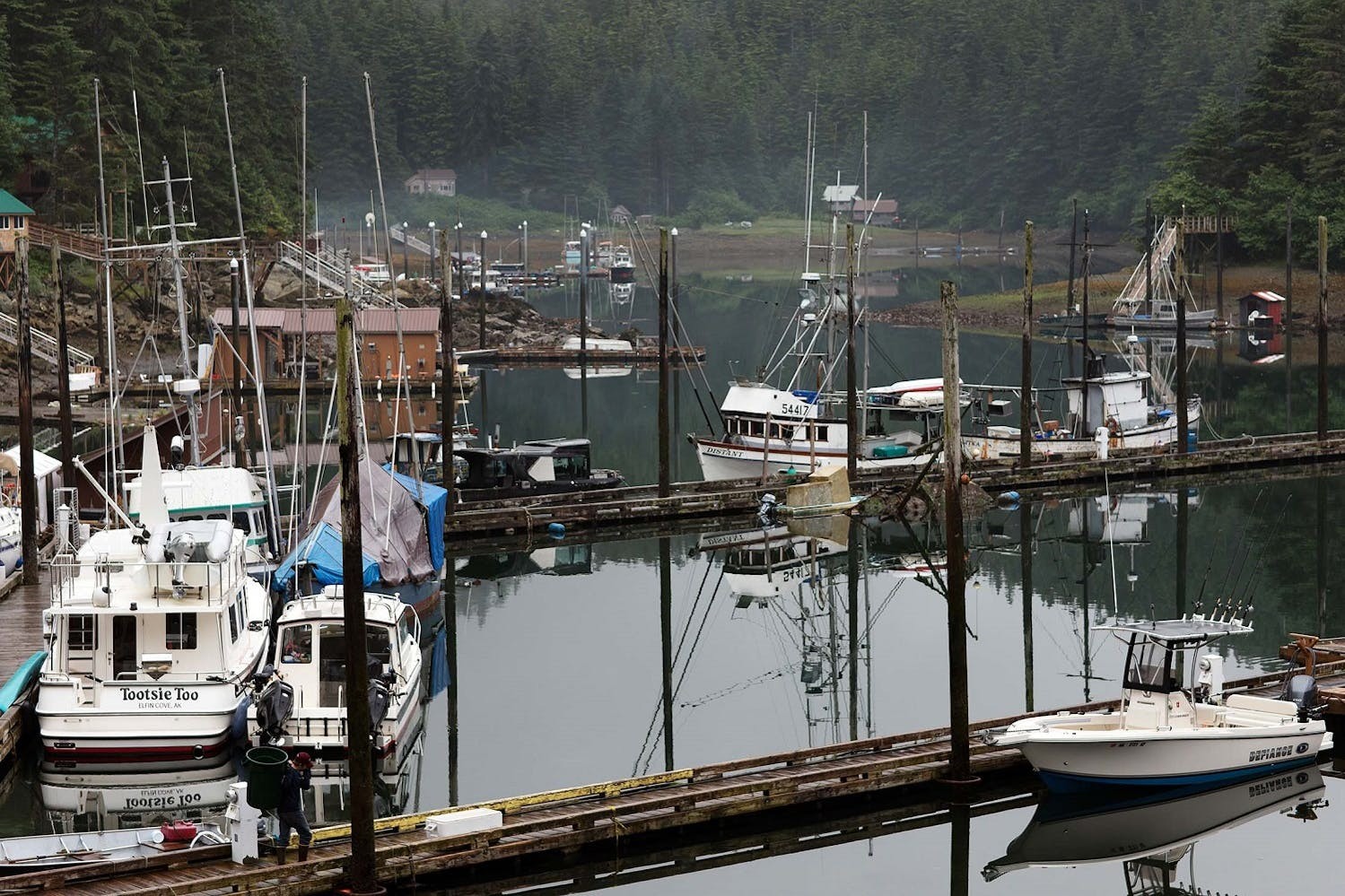 Fishing boats in Elfin Cove, Chichagof Island./Lucia Griggi