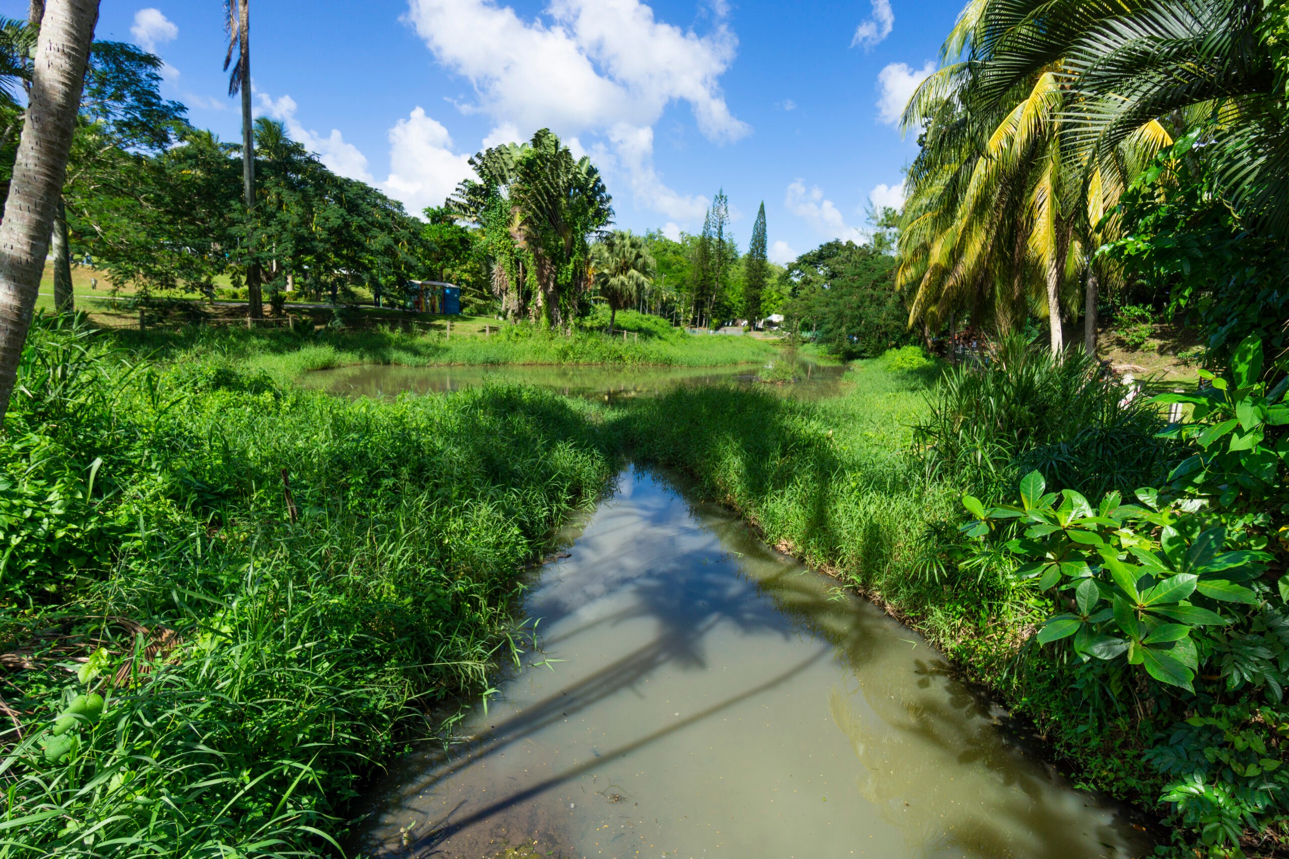 Where a girl named Marie-Joseph-Rose Tascher was born on Martinique. She would come to be known as Empress Joséphine./Getty Images