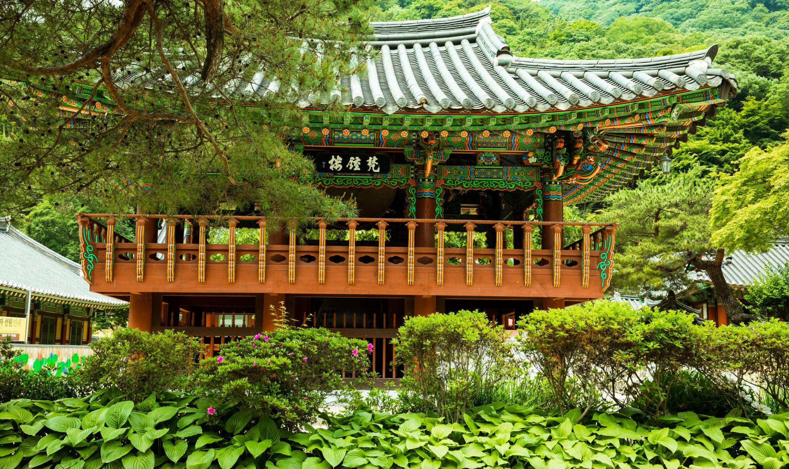 Fresh greenery around Sanggyeru Pavilion at Baekyangsa Temple in Jangseong/Getty Images