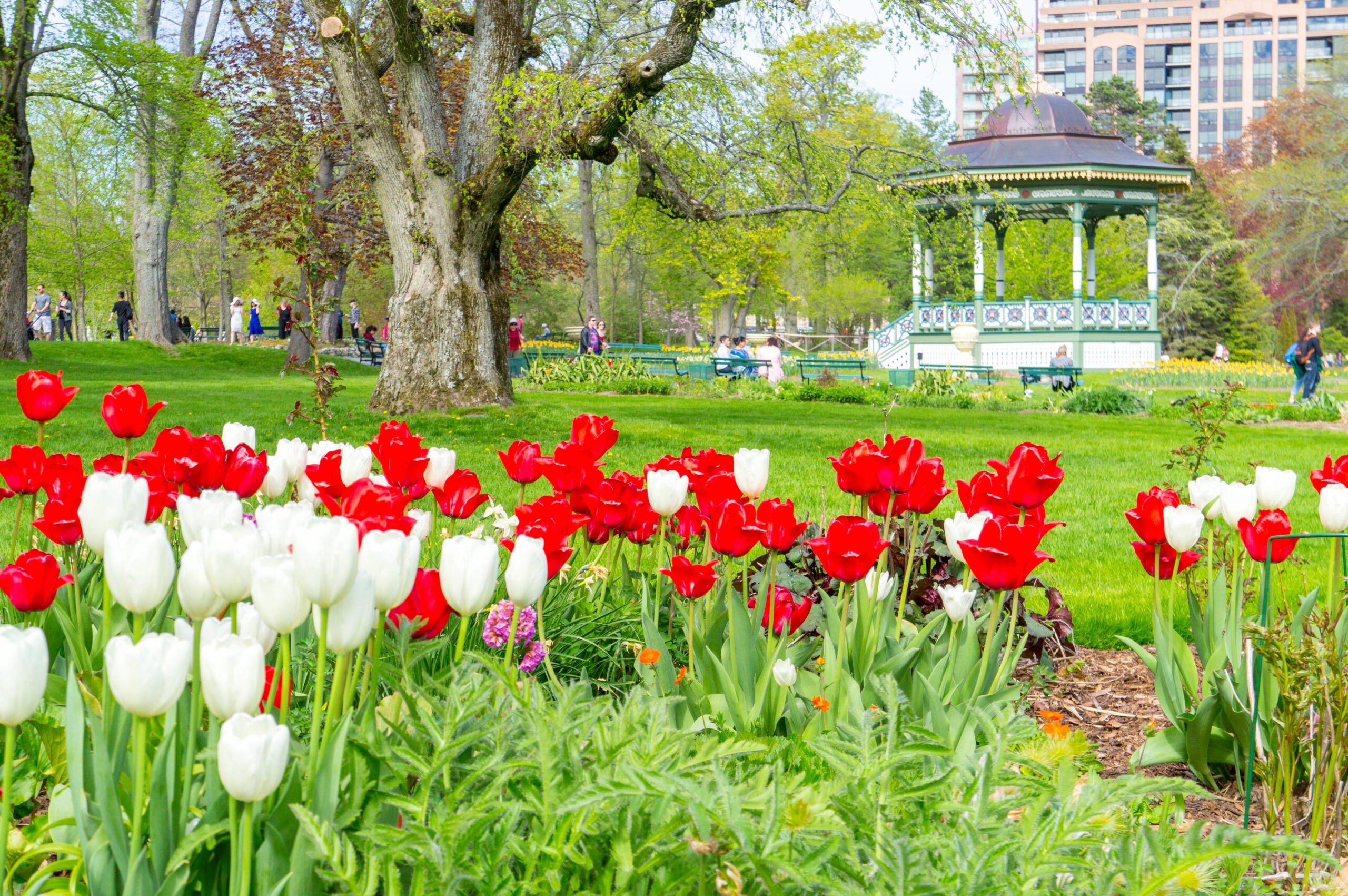 The Public Gardens of Halifax shows off its bandstand./Shutterstock