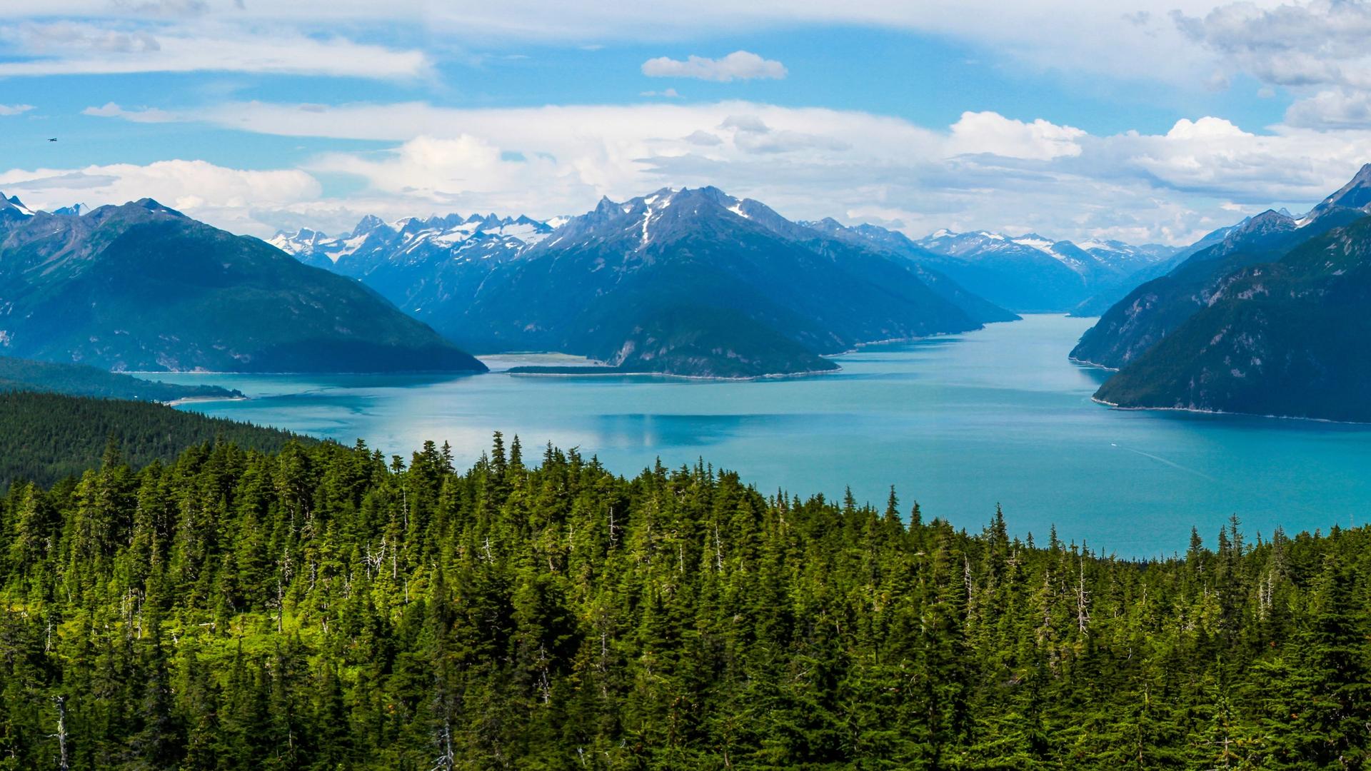 Everything You Need to Know About Your Cruise to Alaska
