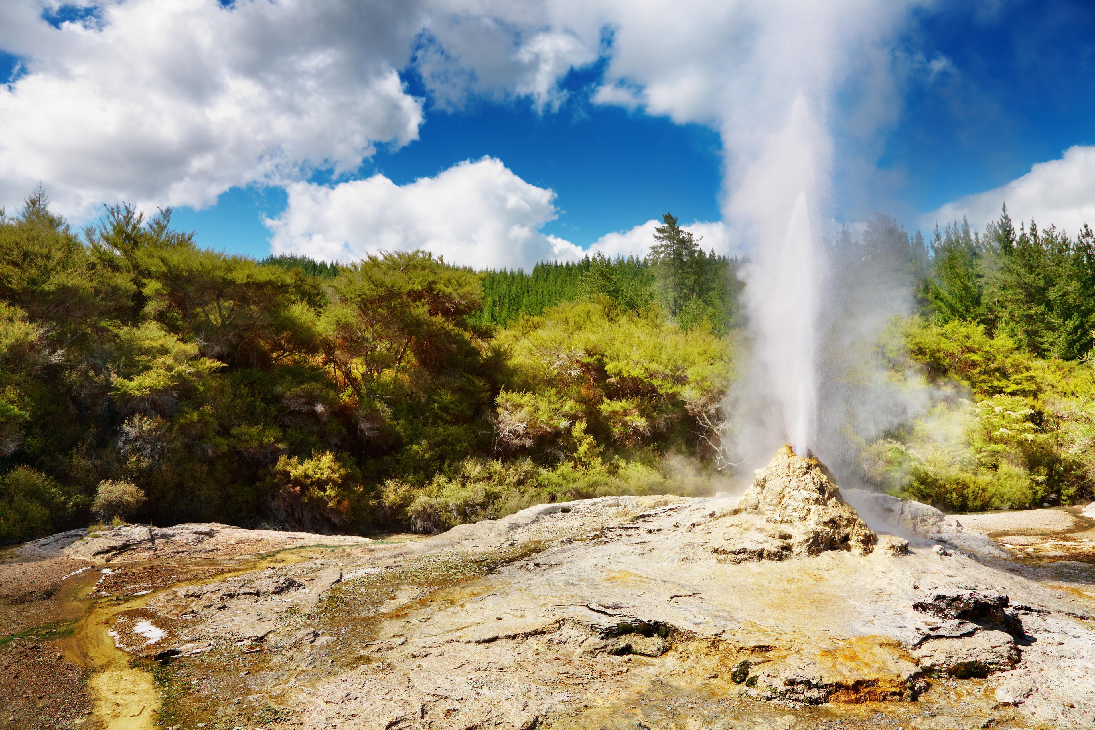 Geothermal wonders in New Zealand's Tauranga./Shutterstock