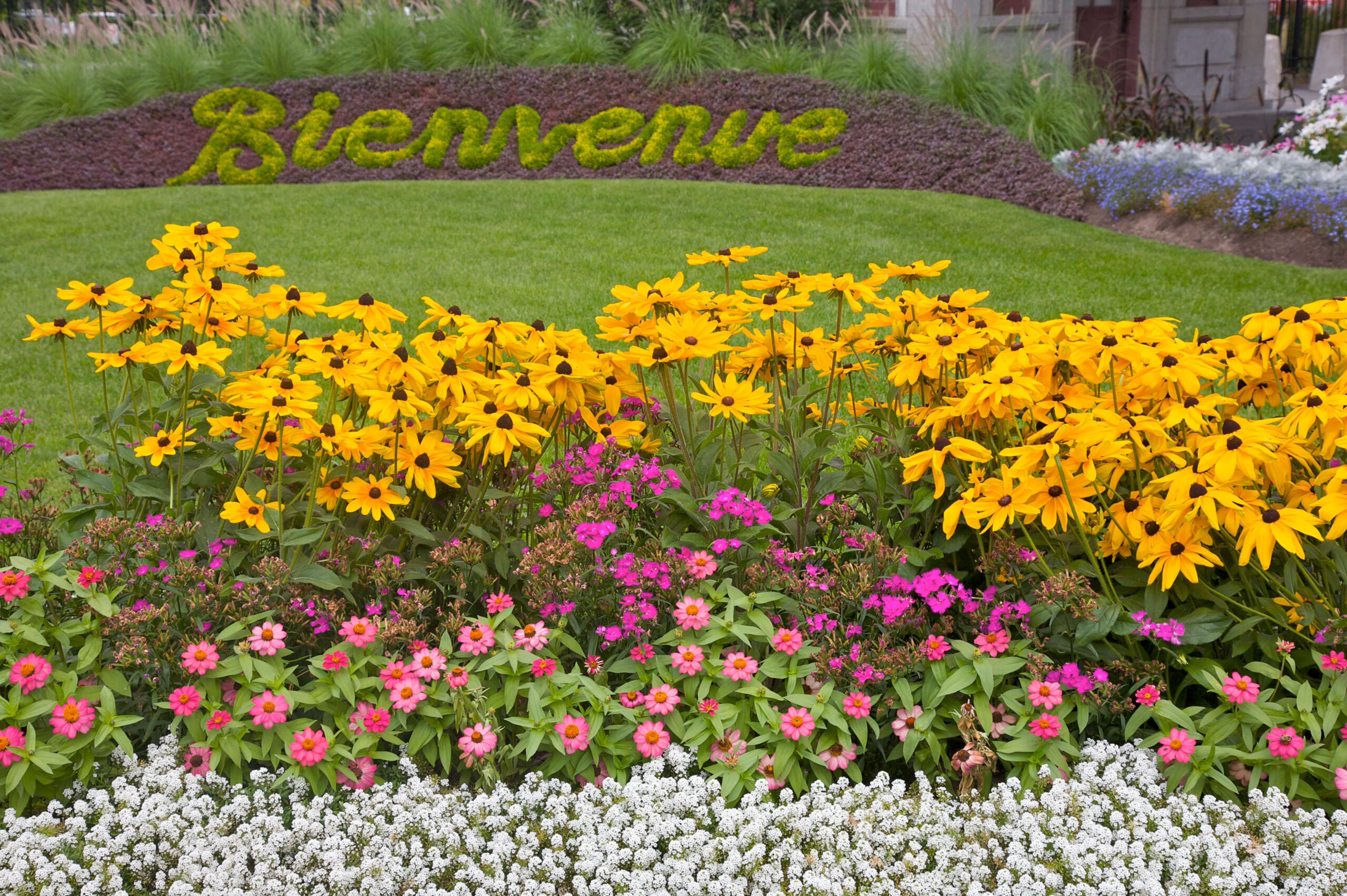 Bienvenue (Welcome) floral sign at Saint Joseph's Oratory, Montréal, Canada. French is widely spoken in some places in Canada./Getty Images