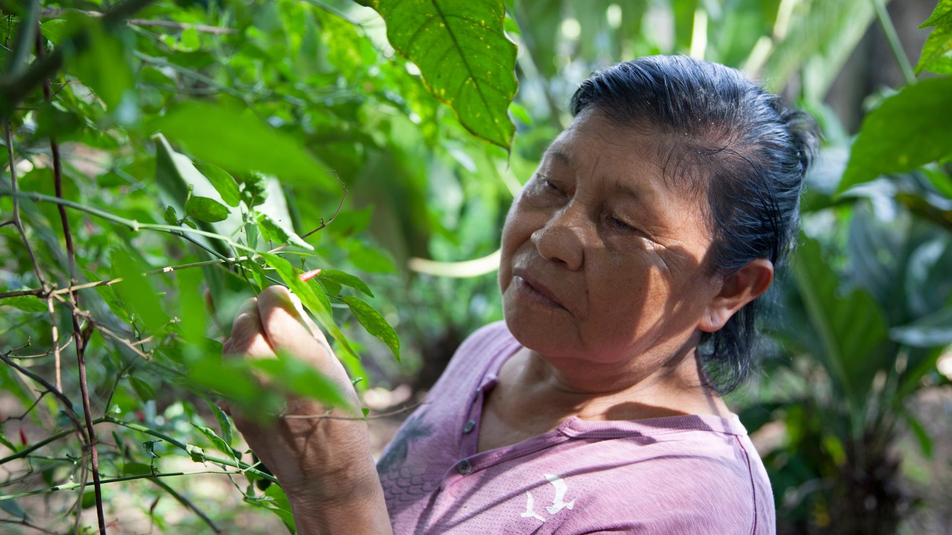 S.A.L.T. Spotlight: Here’s Why Latin American Foods Taste Surprisingly Familiar