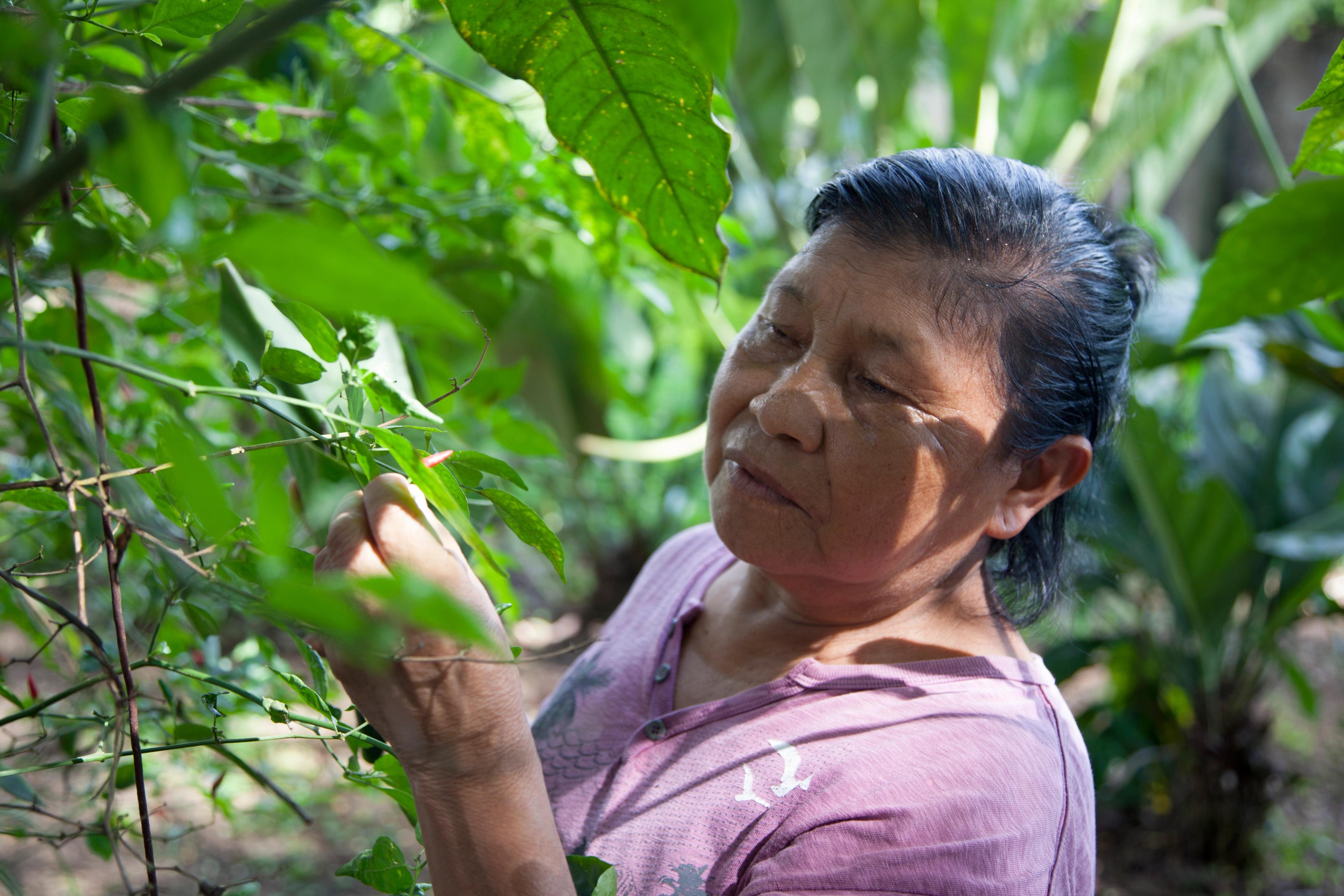 S.A.L.T. Spotlight: Here’s Why Latin American Foods Taste Surprisingly Familiar