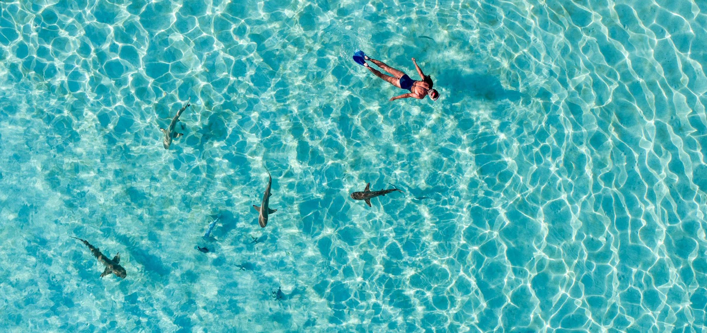 Everything You Need to Know about French Polynesia