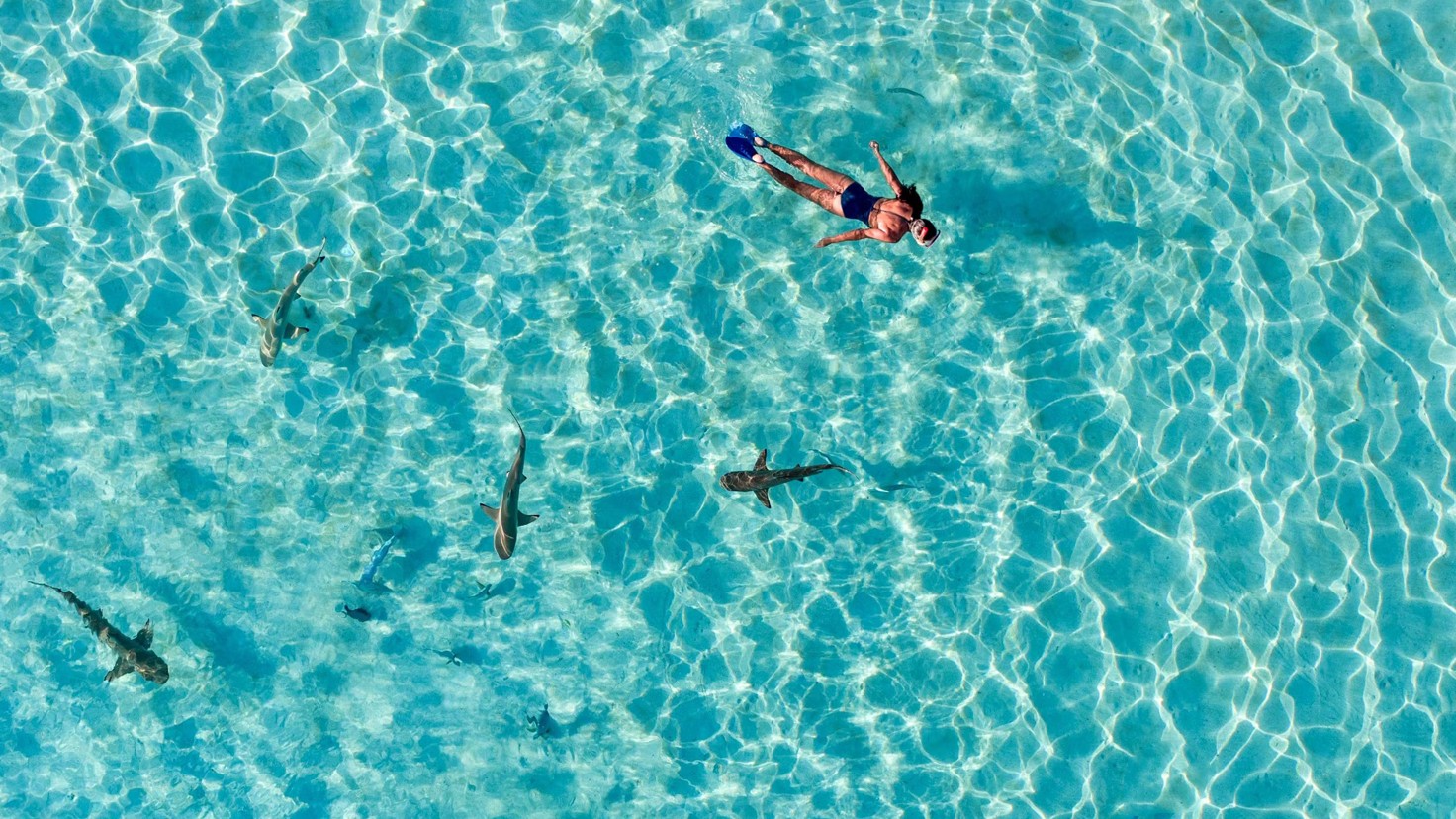 Everything You Need to Know about French Polynesia