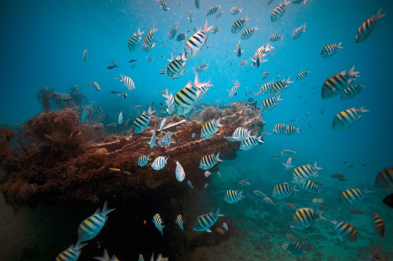 The sunken Greek freighter Stavronikita makes for a stunning artificial reef/Silversea photo