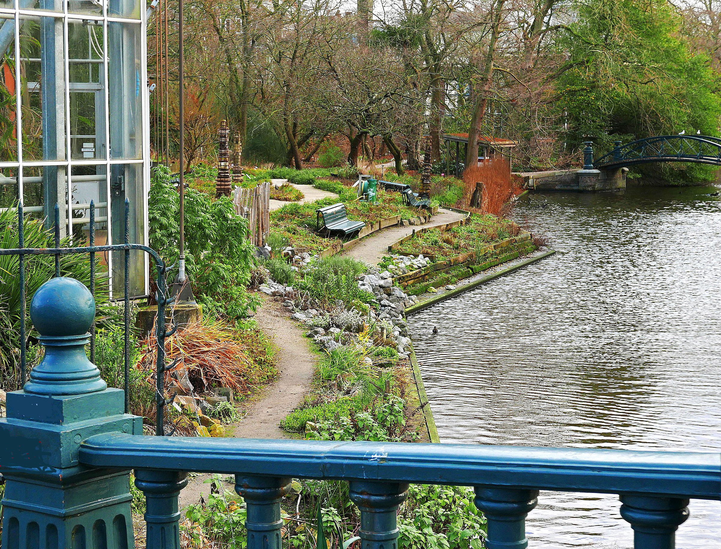 A view over the garden and pool of Amsterdam's Hortus Botanicus, seen from the canal border of the Nieuwe Herengracht./Photo Wikimedia Commons by Fons Heijnsbroek
