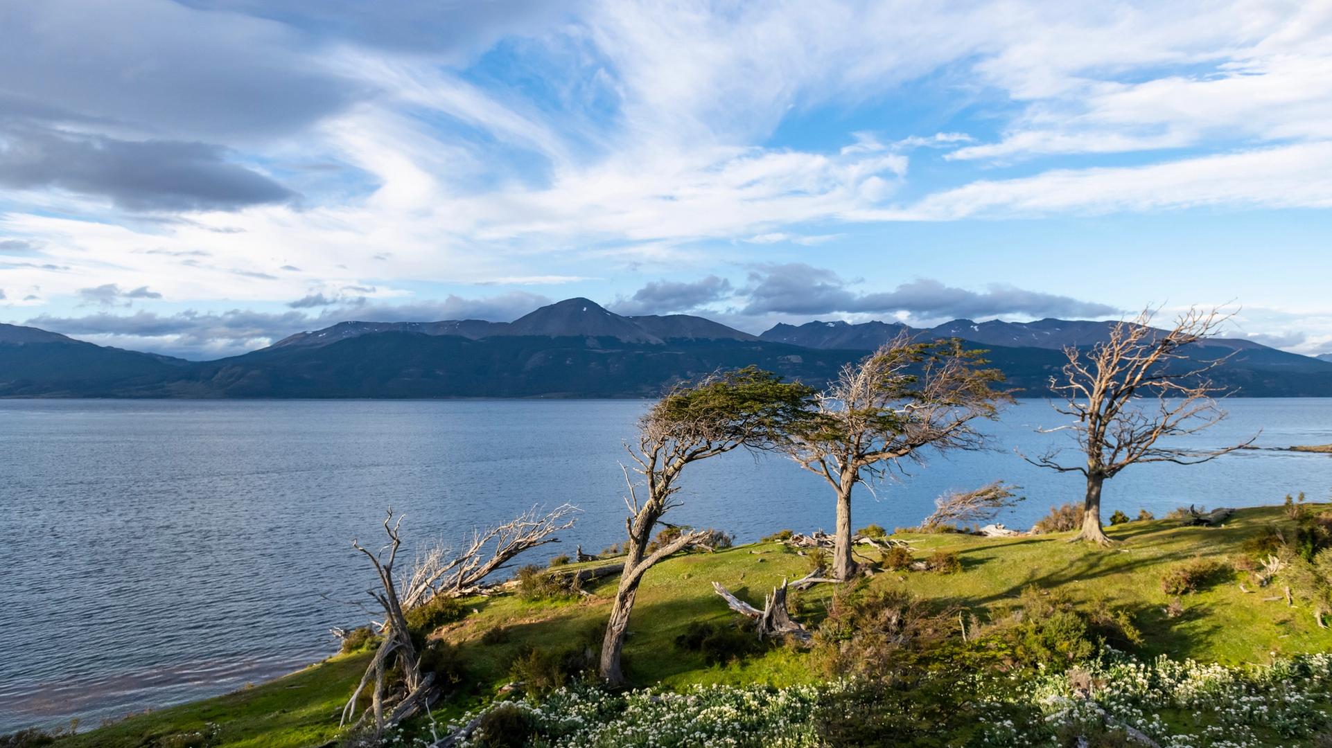 3 Things to See and Do in Chile’s Puerto Williams