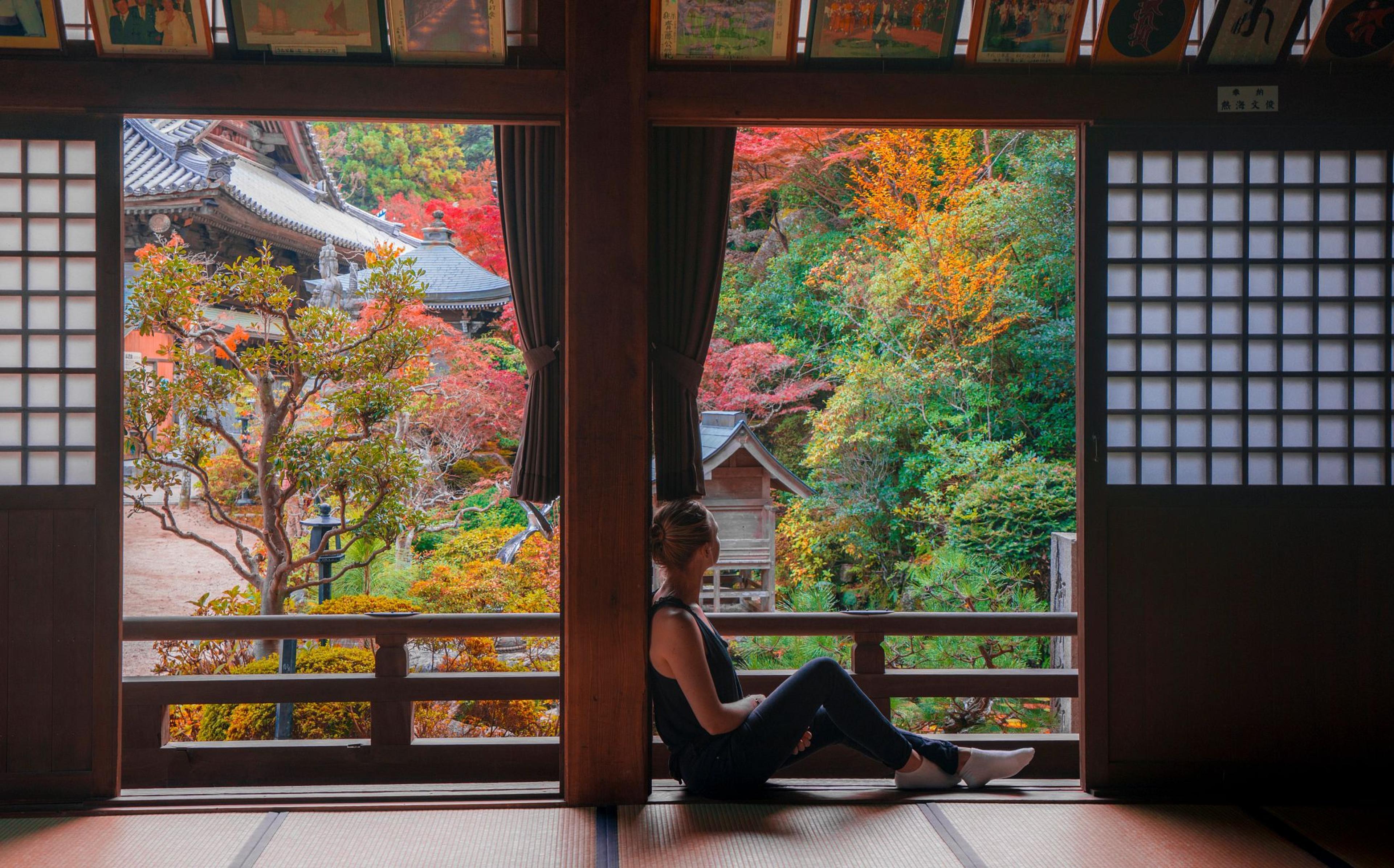 A traveler sits inside a traditional Japanese room, looking out at vibrant autumn foliage in a temple garden. 