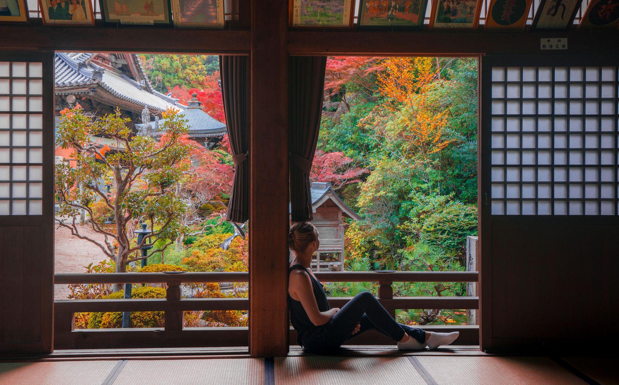 A traveler sits inside a traditional Japanese room, looking out at vibrant autumn foliage in a temple garden.