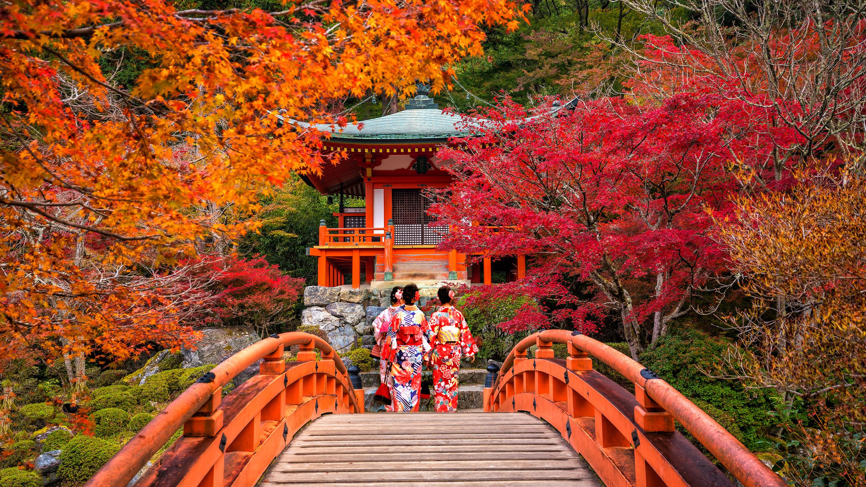 Women in traditional kimonos cross a red arched bridge surrounded by fiery autumn maples at Kyoto’s historic Daigo-ji Temple.