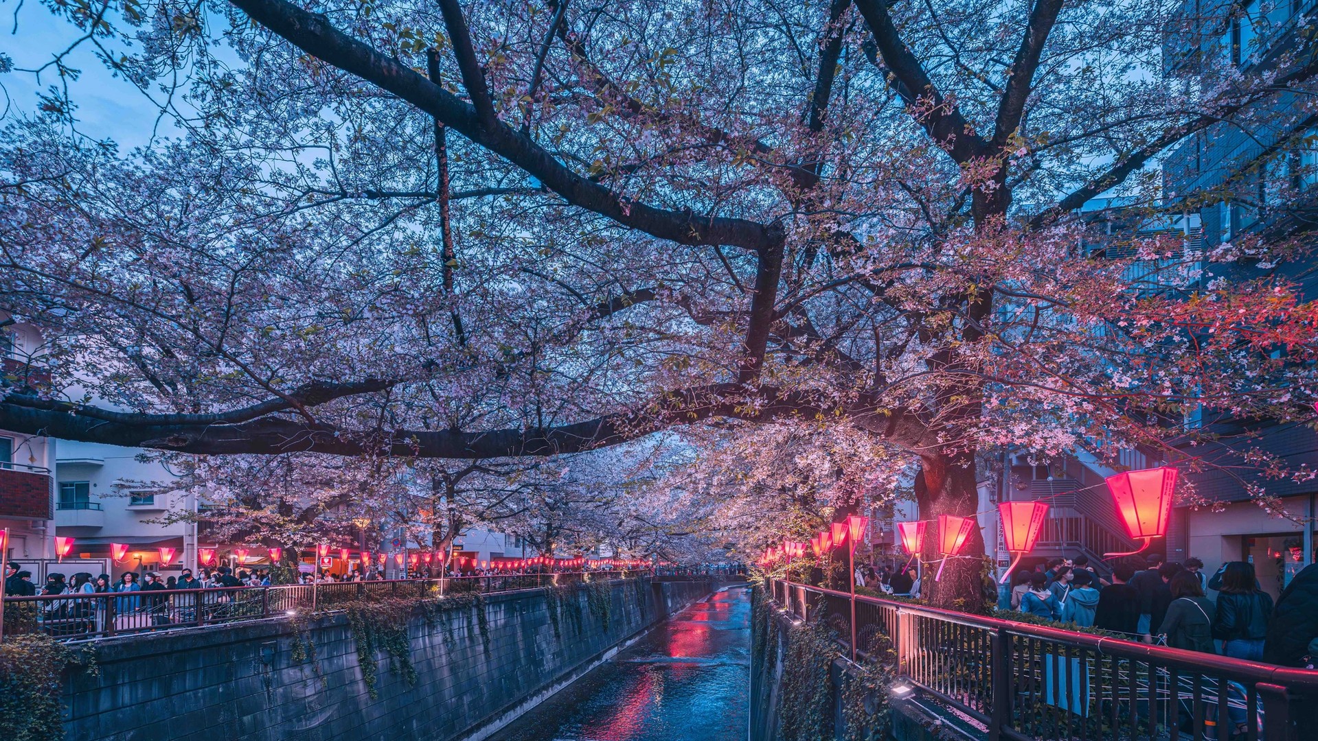 How to Choose Your Cruise: Asia