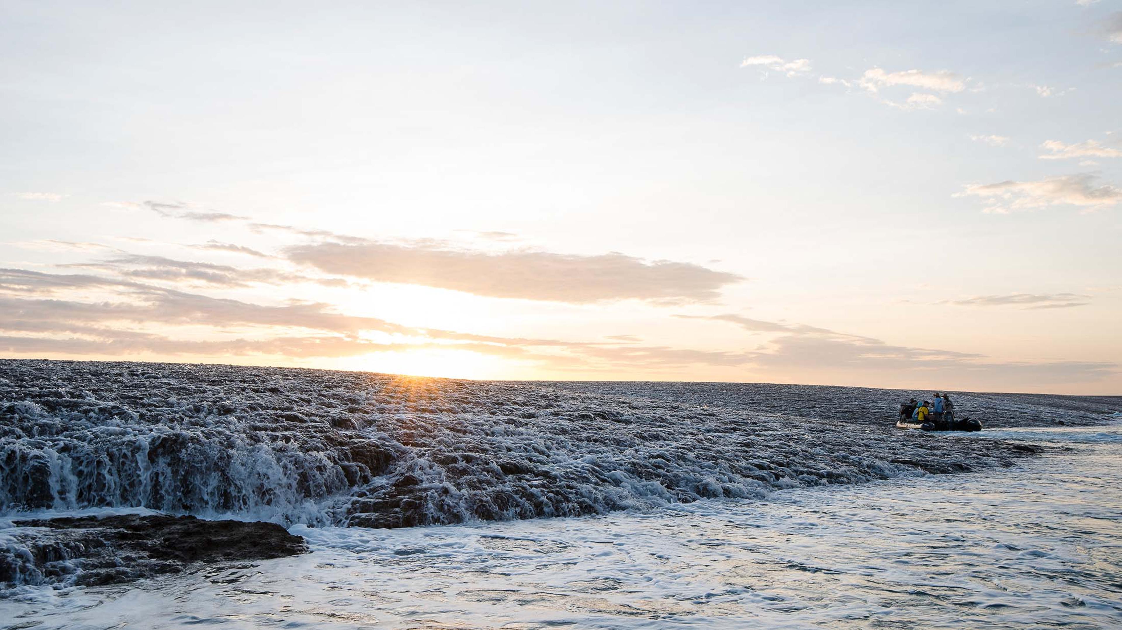 Montgomery Reef/ Denis Elterman