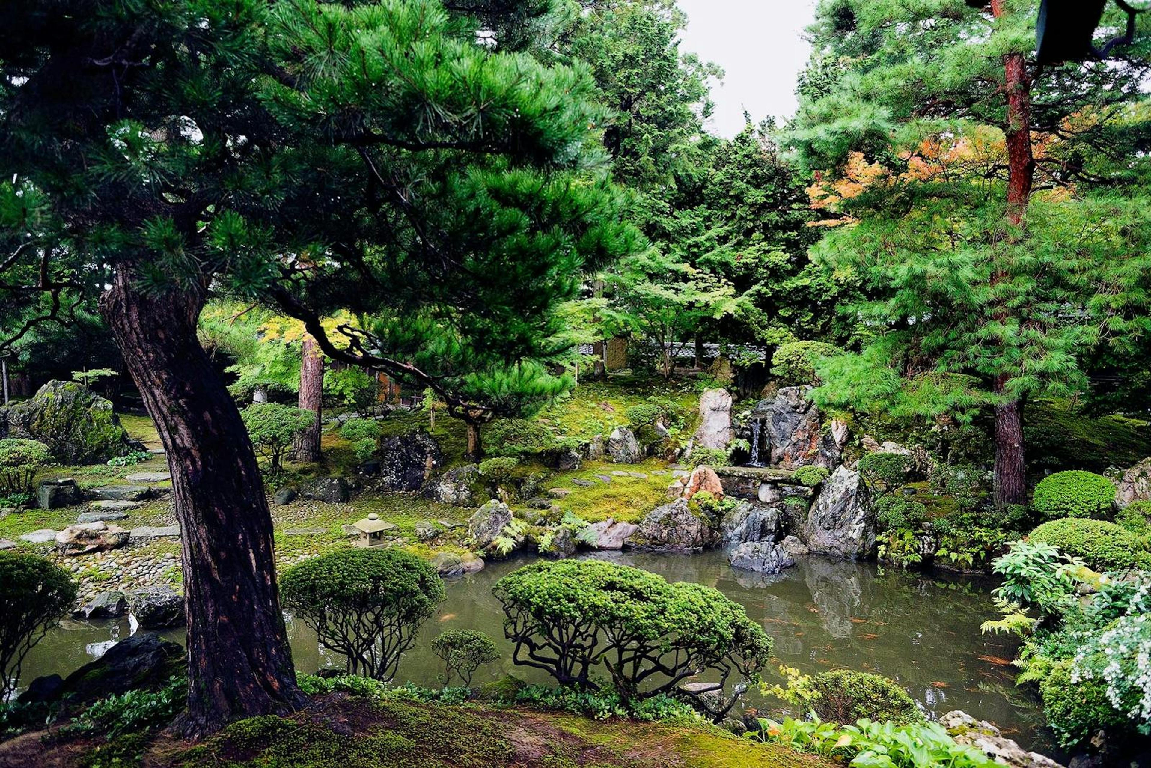 Japanese gardens in Niigata./Lucia Griggi